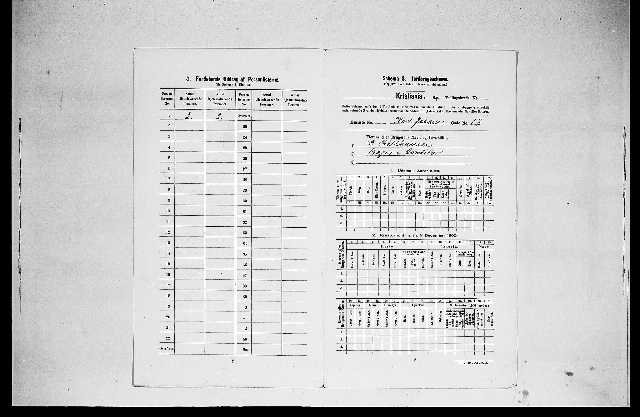 SAO, Folketelling 1900 for 0301 Kristiania kjøpstad, 1900, s. 11407