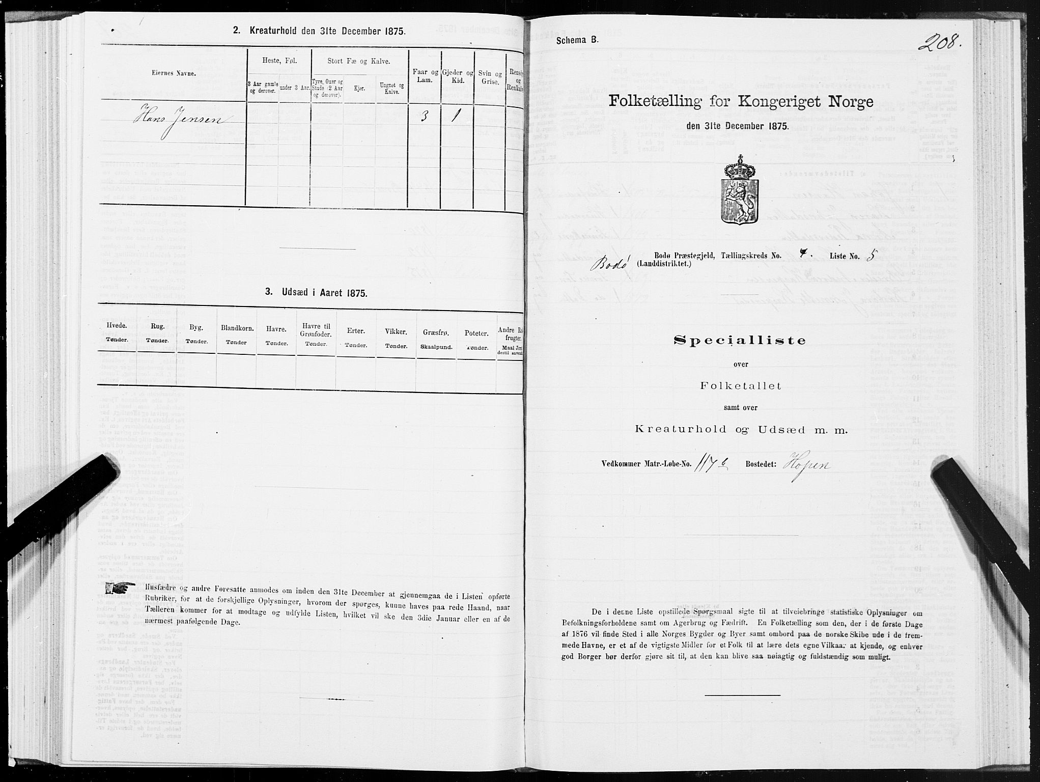 SAT, Folketelling 1875 for 1843L Bodø prestegjeld, Bodø landsokn, 1875, s. 2208