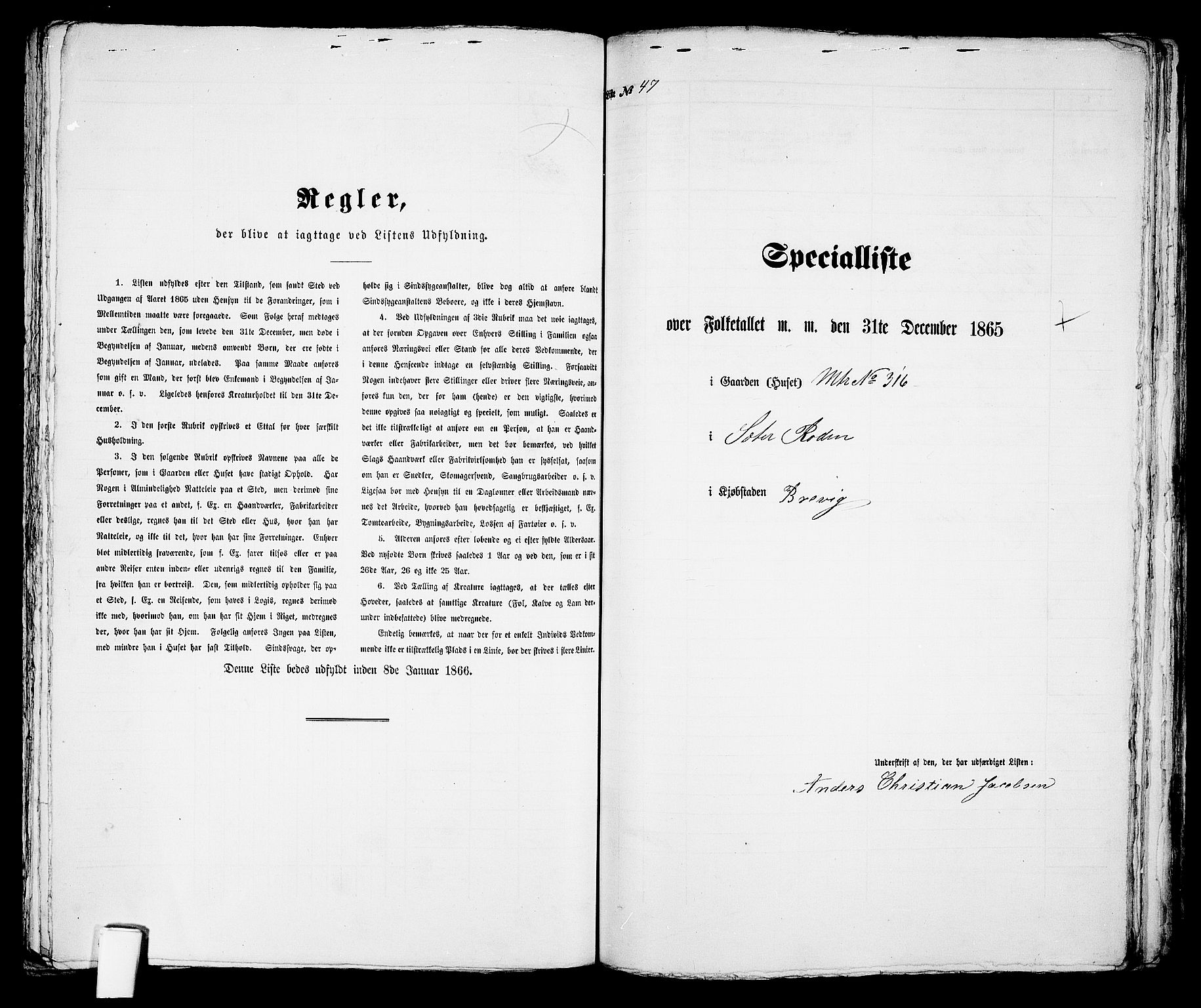 RA, Folketelling 1865 for 0804P Brevik prestegjeld, 1865, s. 304