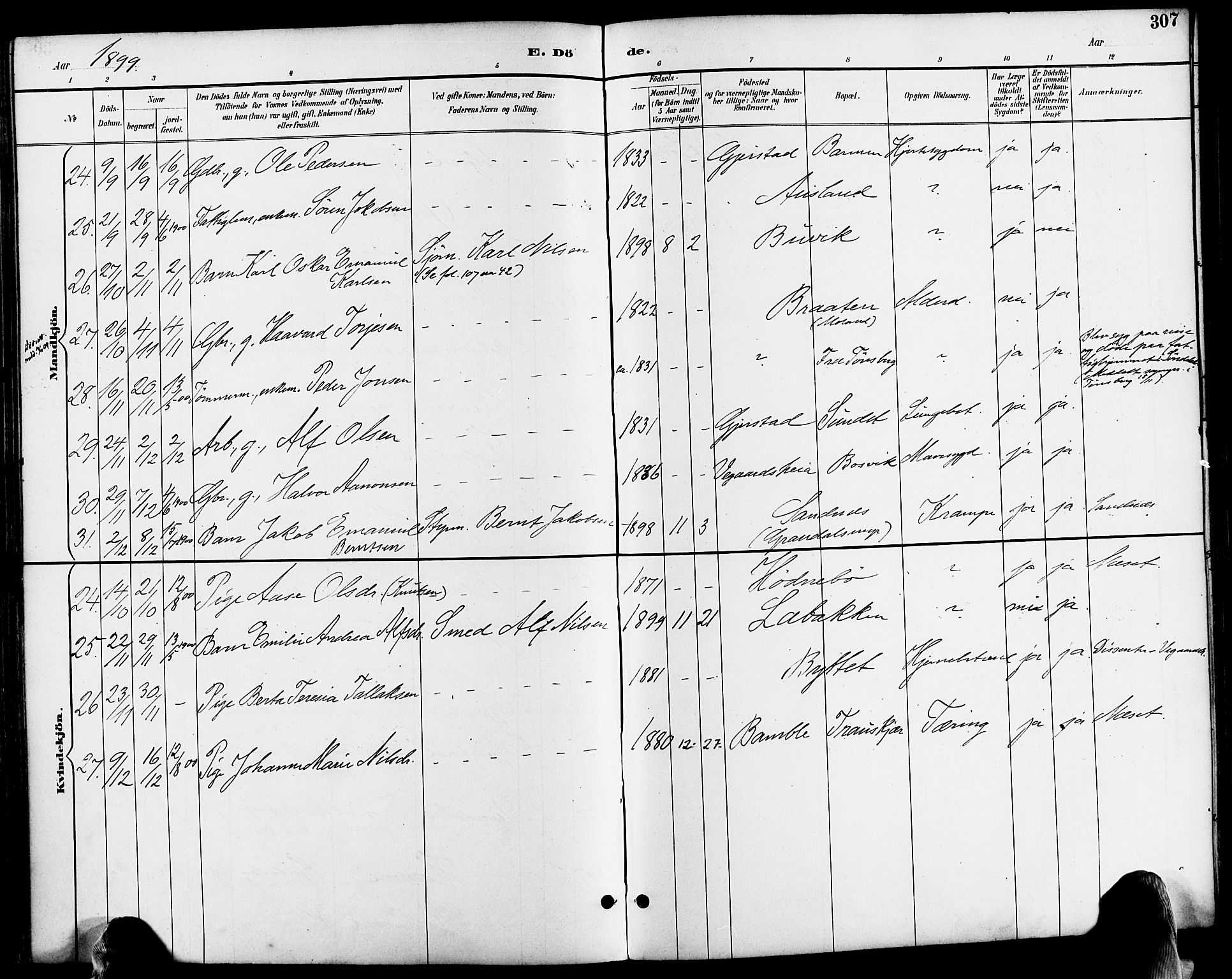 Søndeled sokneprestkontor, AV/SAK-1111-0038/F/Fa/L0005: Ministerialbok nr. A 5, 1889-1899, s. 307