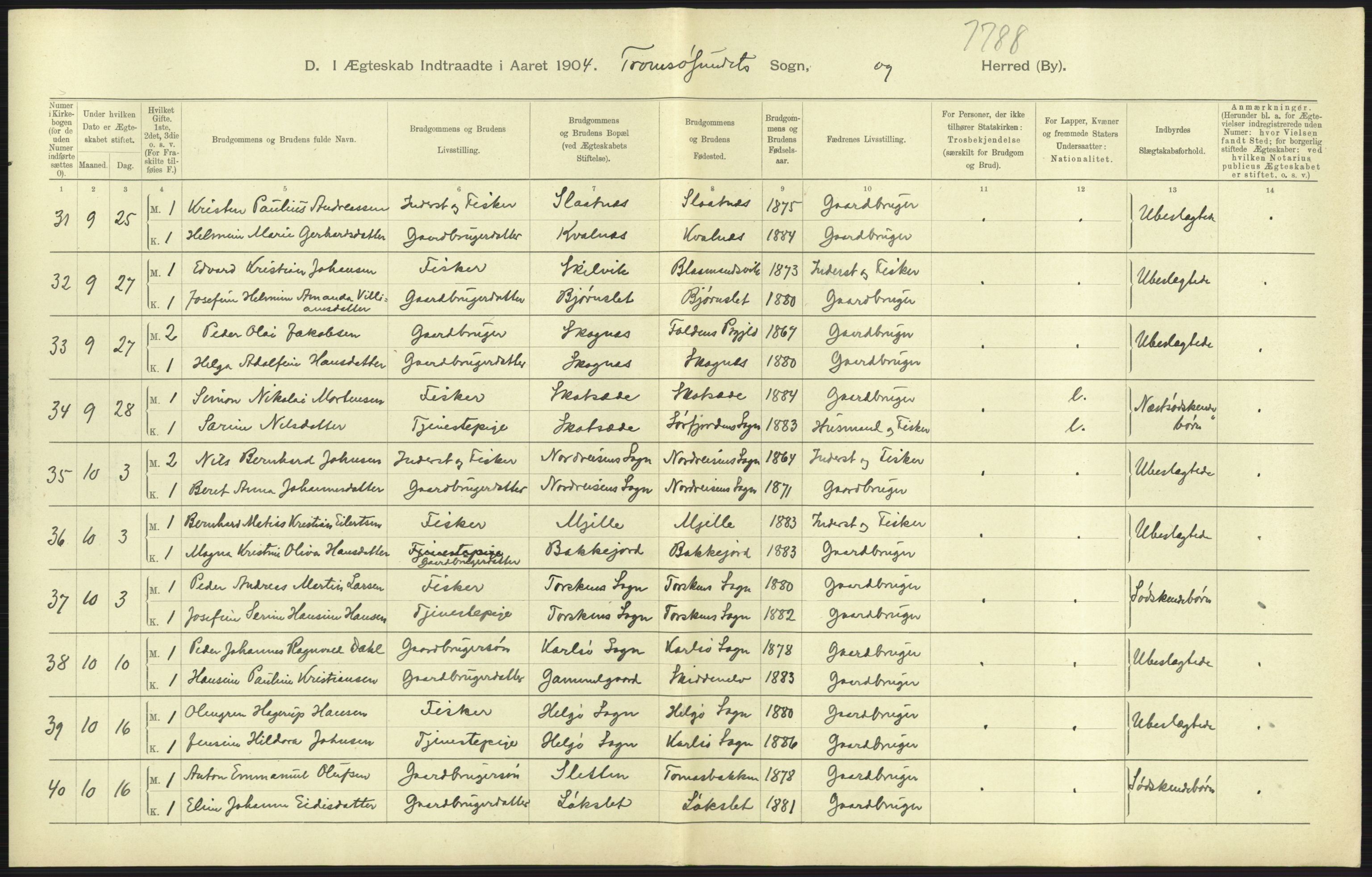 Statistisk sentralbyrå, Sosiodemografiske emner, Befolkning, AV/RA-S-2228/D/Df/Dfa/Dfab/L0022: Tromsø amt: Fødte, gifte, døde, 1904, s. 369