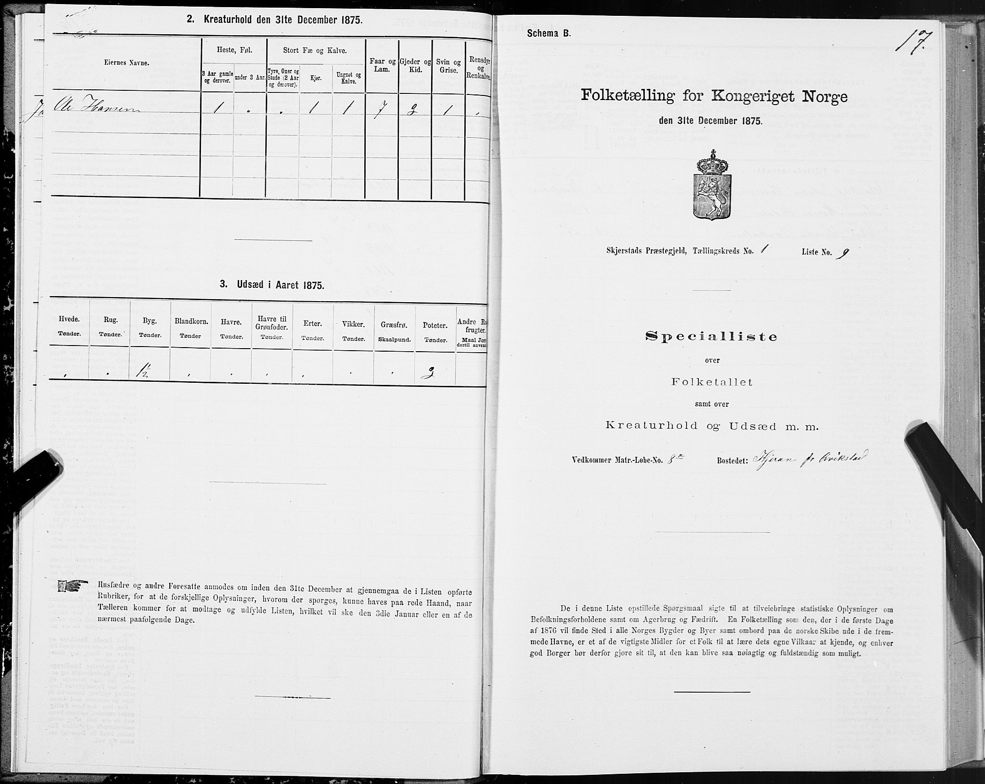 SAT, Folketelling 1875 for 1842P Skjerstad prestegjeld, 1875, s. 1017