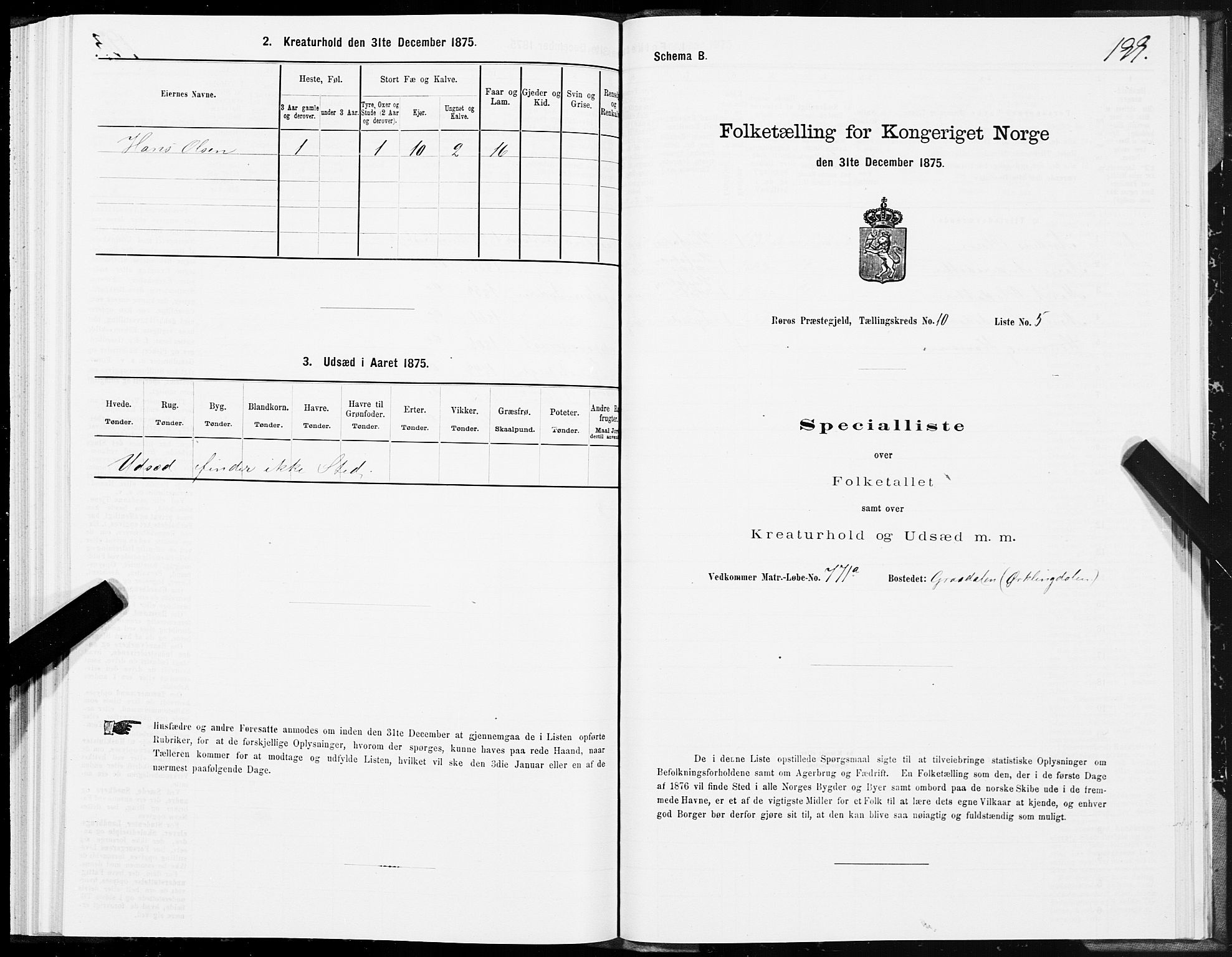 SAT, Folketelling 1875 for 1640P Røros prestegjeld, 1875, s. 5199