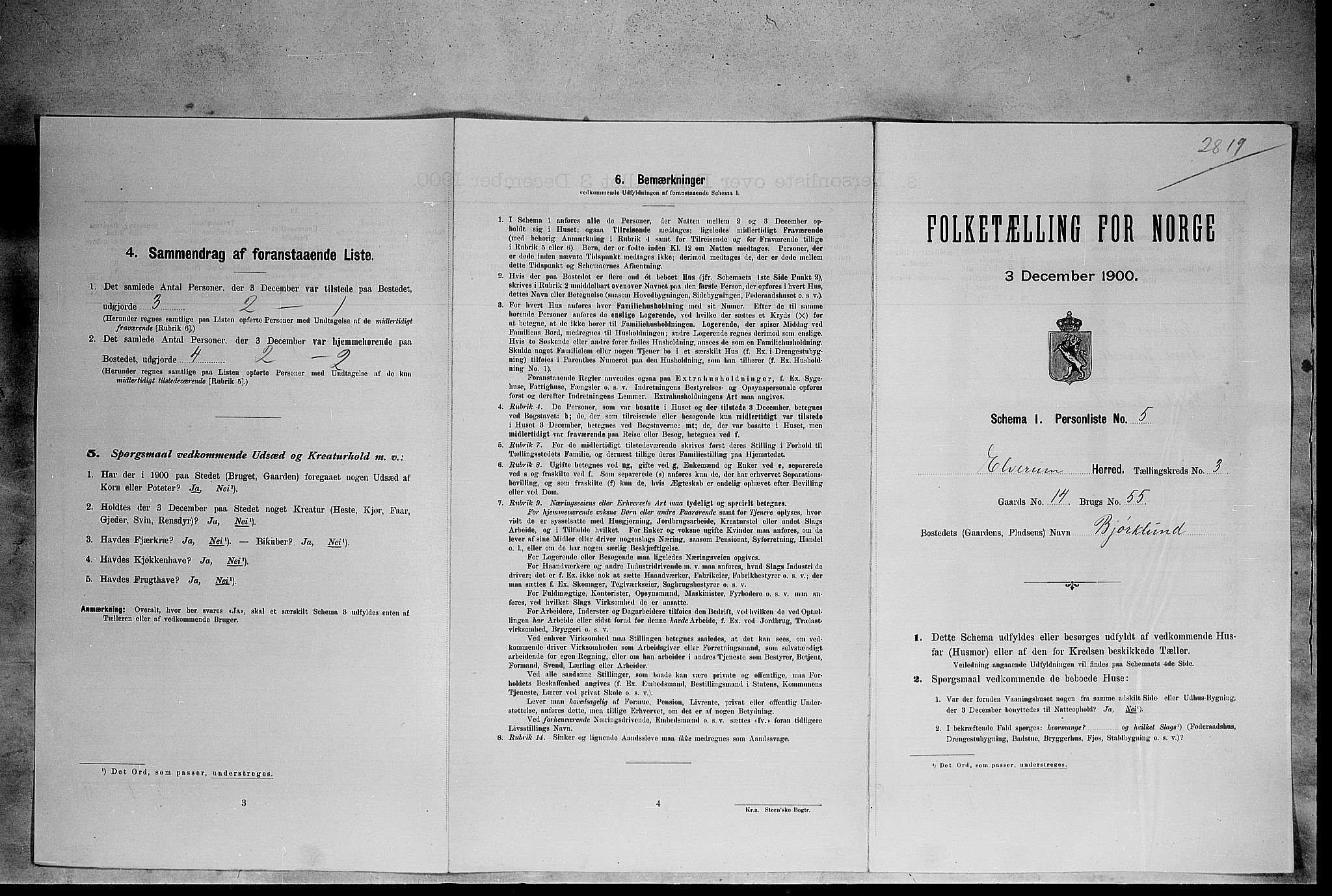SAH, Folketelling 1900 for 0427 Elverum herred, 1900, s. 433