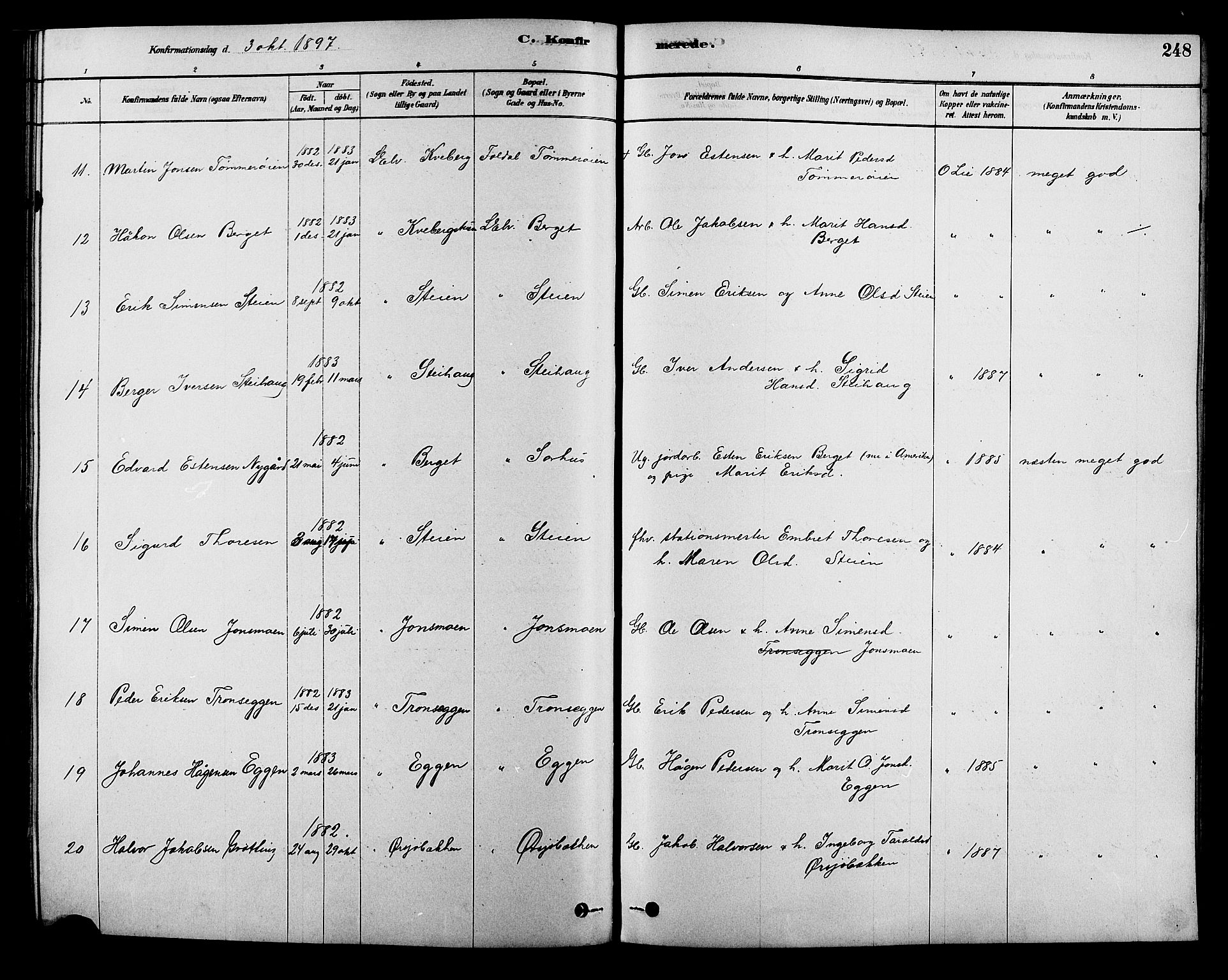 Alvdal prestekontor, AV/SAH-PREST-060/H/Ha/Hab/L0003: Klokkerbok nr. 3, 1878-1907, s. 248