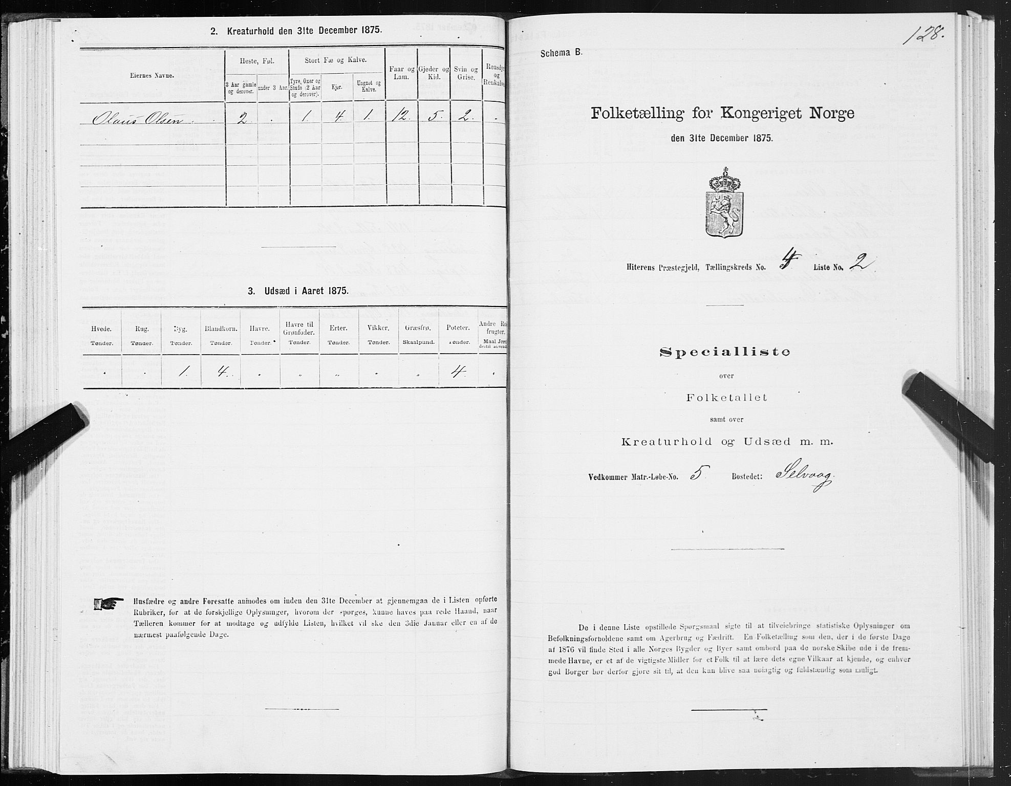 SAT, Folketelling 1875 for 1617P Hitra prestegjeld, 1875, s. 2128