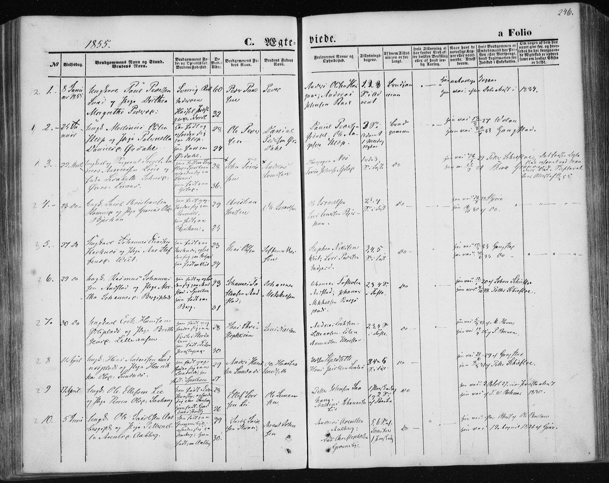 Ministerialprotokoller, klokkerbøker og fødselsregistre - Nord-Trøndelag, AV/SAT-A-1458/730/L0283: Ministerialbok nr. 730A08, 1855-1865, s. 246