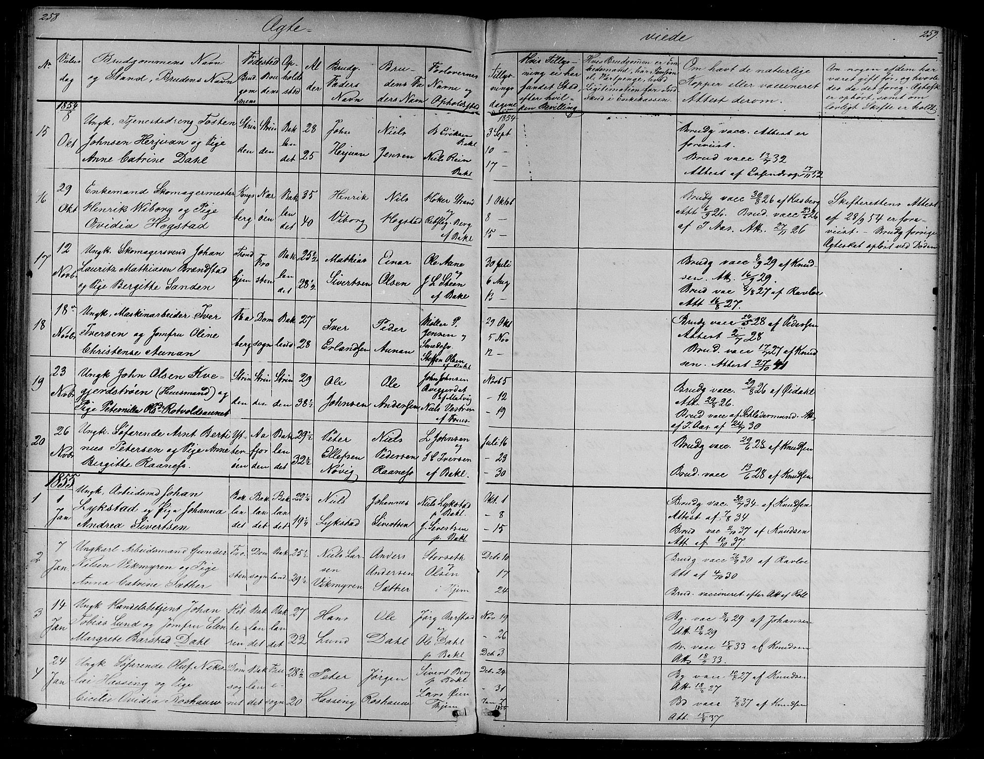 Ministerialprotokoller, klokkerbøker og fødselsregistre - Sør-Trøndelag, AV/SAT-A-1456/604/L0219: Klokkerbok nr. 604C02, 1851-1869, s. 258-259