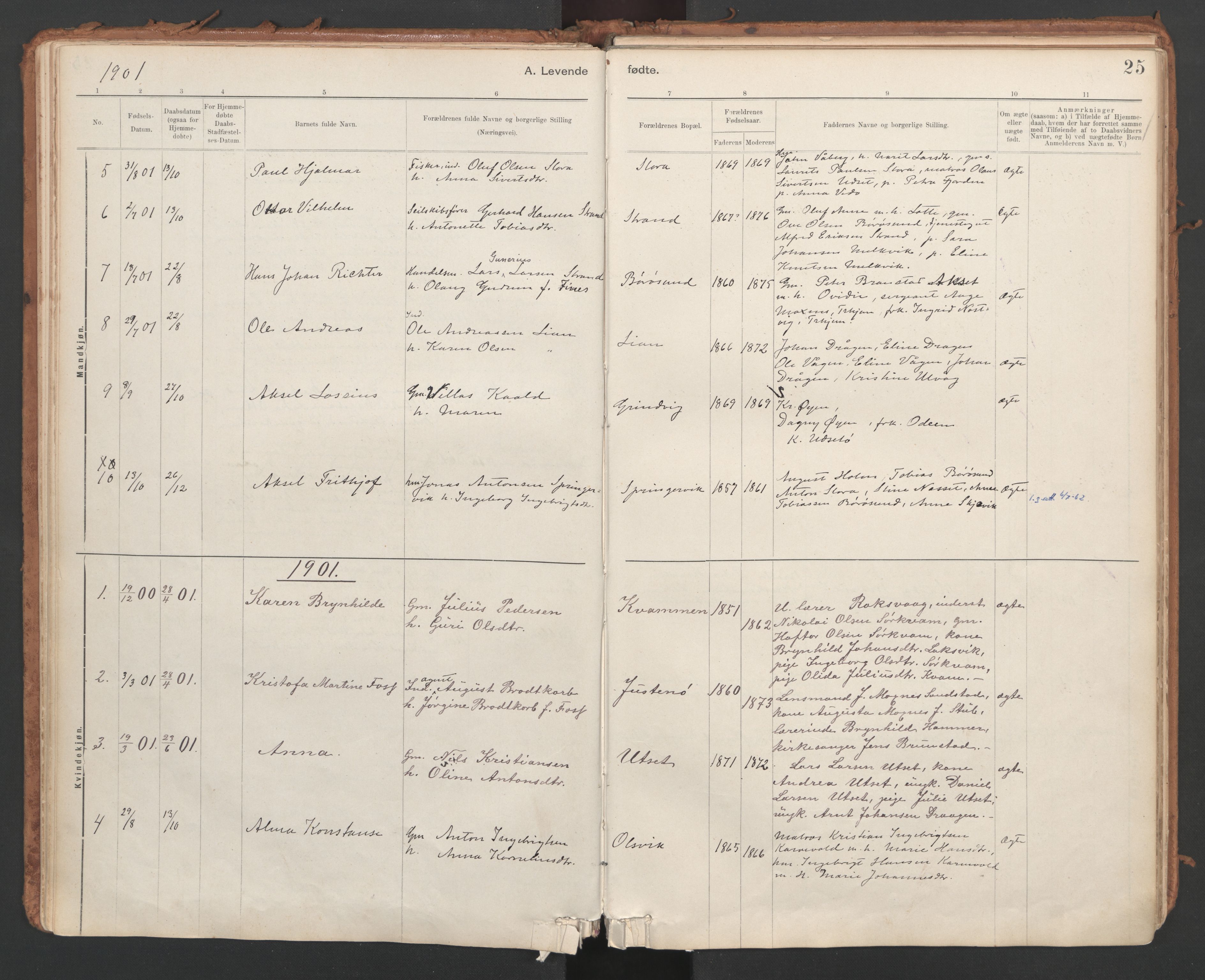 Ministerialprotokoller, klokkerbøker og fødselsregistre - Sør-Trøndelag, AV/SAT-A-1456/639/L0572: Ministerialbok nr. 639A01, 1890-1920, s. 25