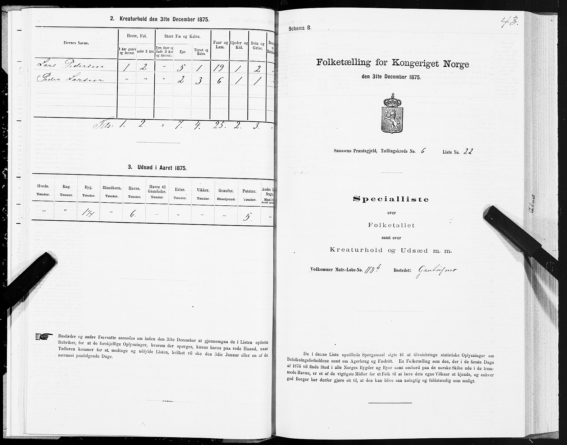 SAT, Folketelling 1875 for 1736P Snåsa prestegjeld, 1875, s. 3043