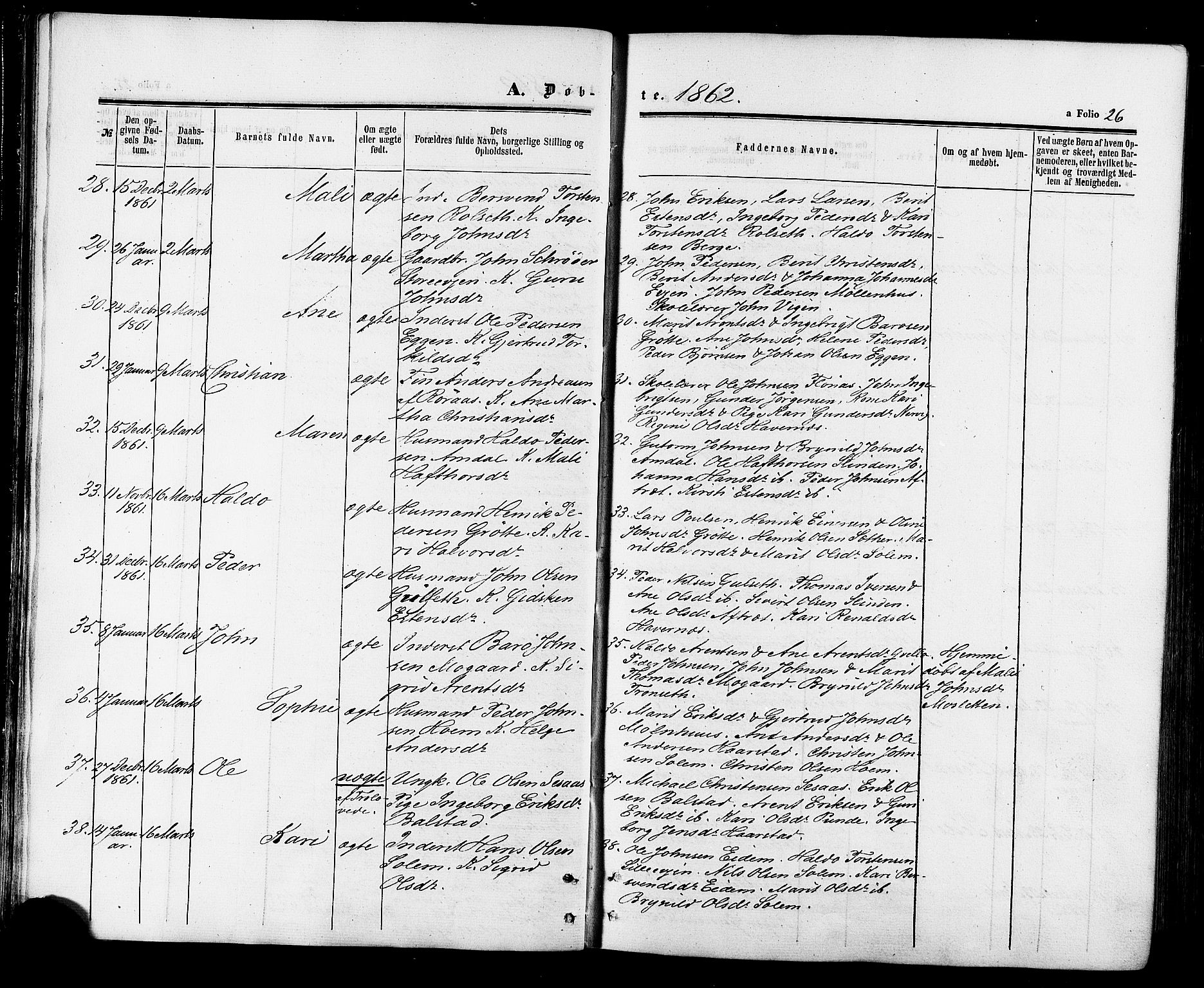 Ministerialprotokoller, klokkerbøker og fødselsregistre - Sør-Trøndelag, AV/SAT-A-1456/695/L1147: Ministerialbok nr. 695A07, 1860-1877, s. 26