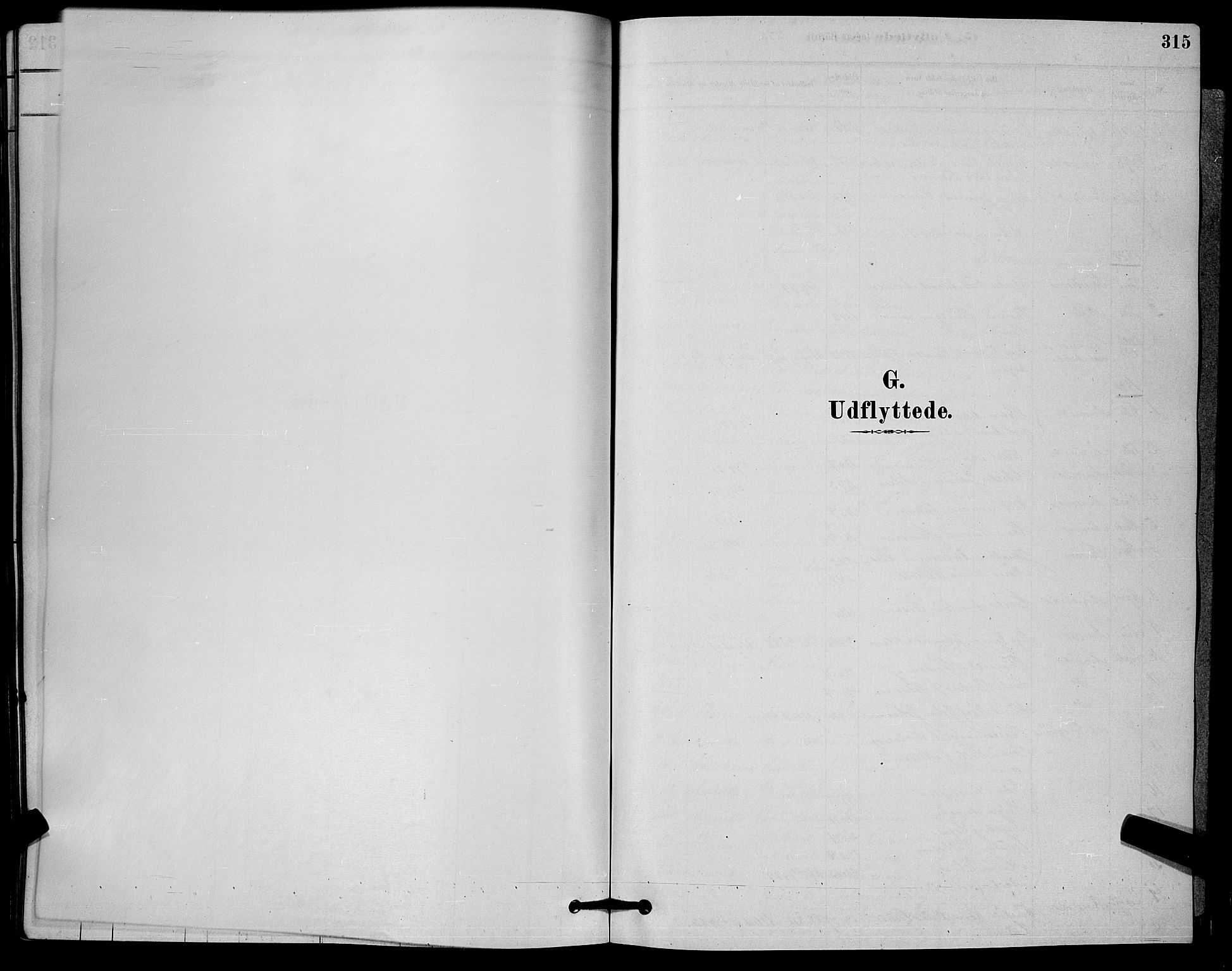 Horten kirkebøker, SAKO/A-348/G/Ga/L0003: Klokkerbok nr. 4, 1878-1887, s. 315