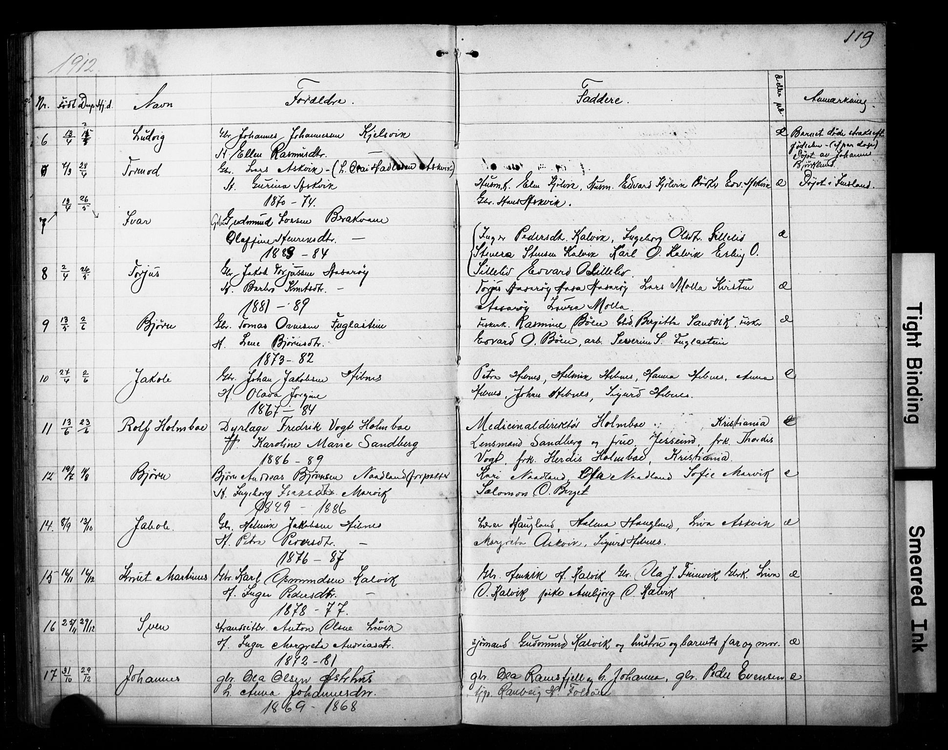Jelsa sokneprestkontor, AV/SAST-A-101842/01/V: Klokkerbok nr. B 4, 1890-1928, s. 119
