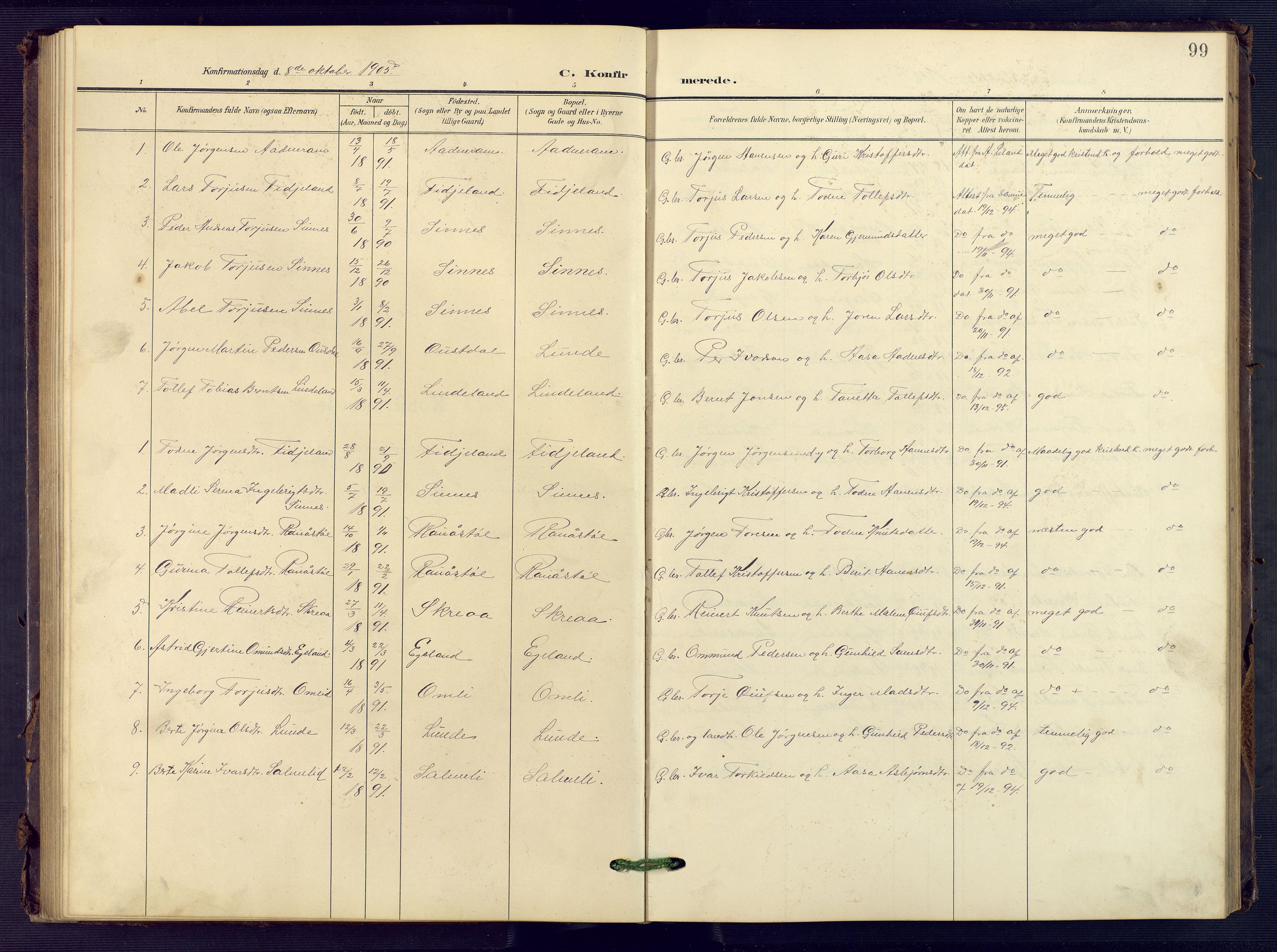 Sirdal sokneprestkontor, AV/SAK-1111-0036/F/Fb/Fba/L0002: Klokkerbok nr. B 2, 1905-1958, s. 99