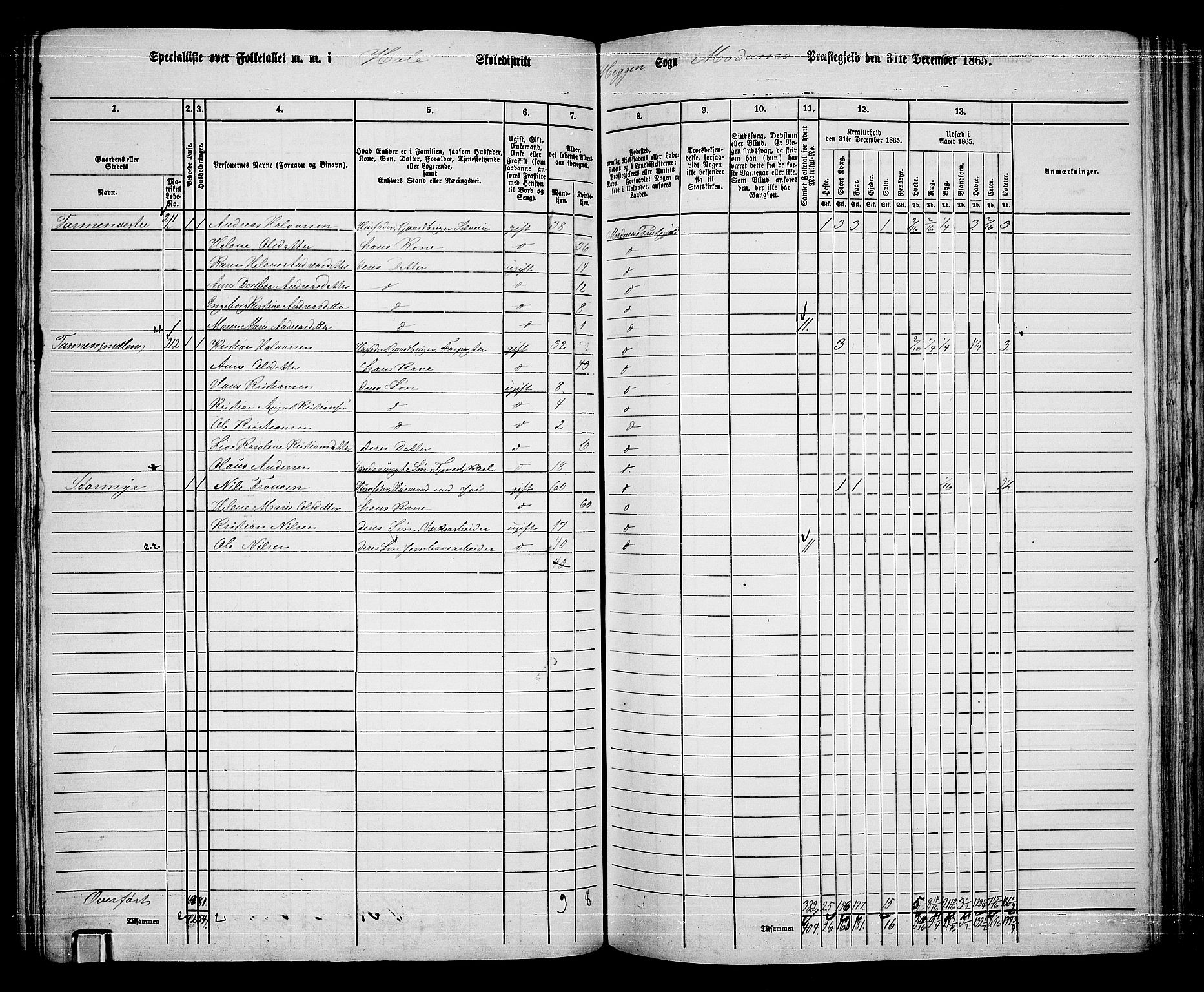 RA, Folketelling 1865 for 0623P Modum prestegjeld, 1865, s. 184