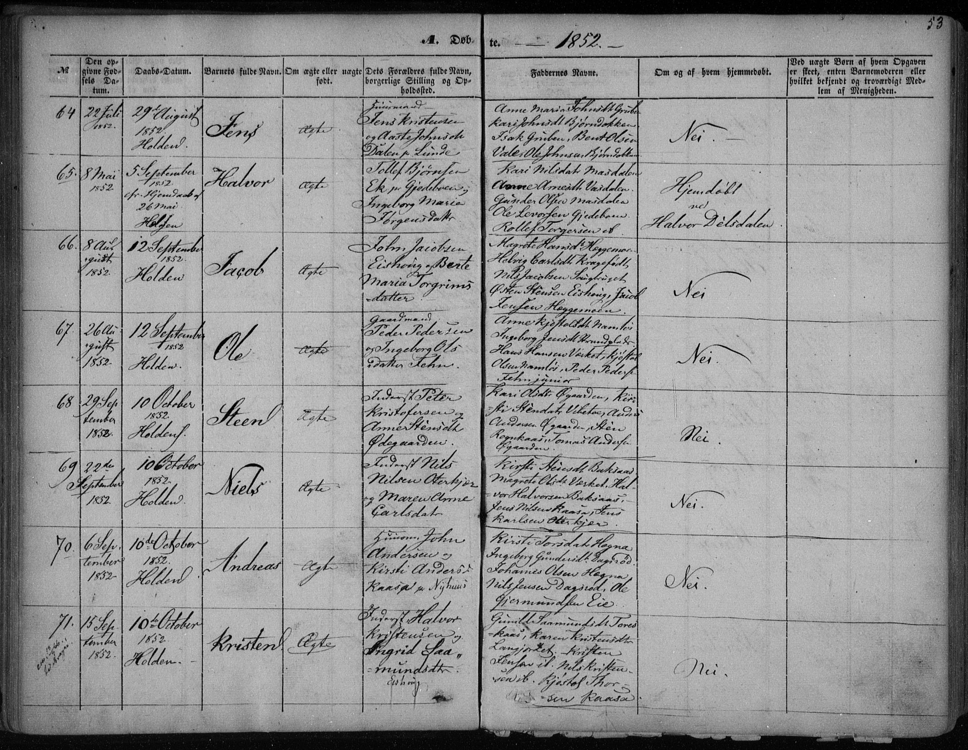 Holla kirkebøker, AV/SAKO-A-272/F/Fa/L0005: Ministerialbok nr. 5, 1849-1860, s. 53