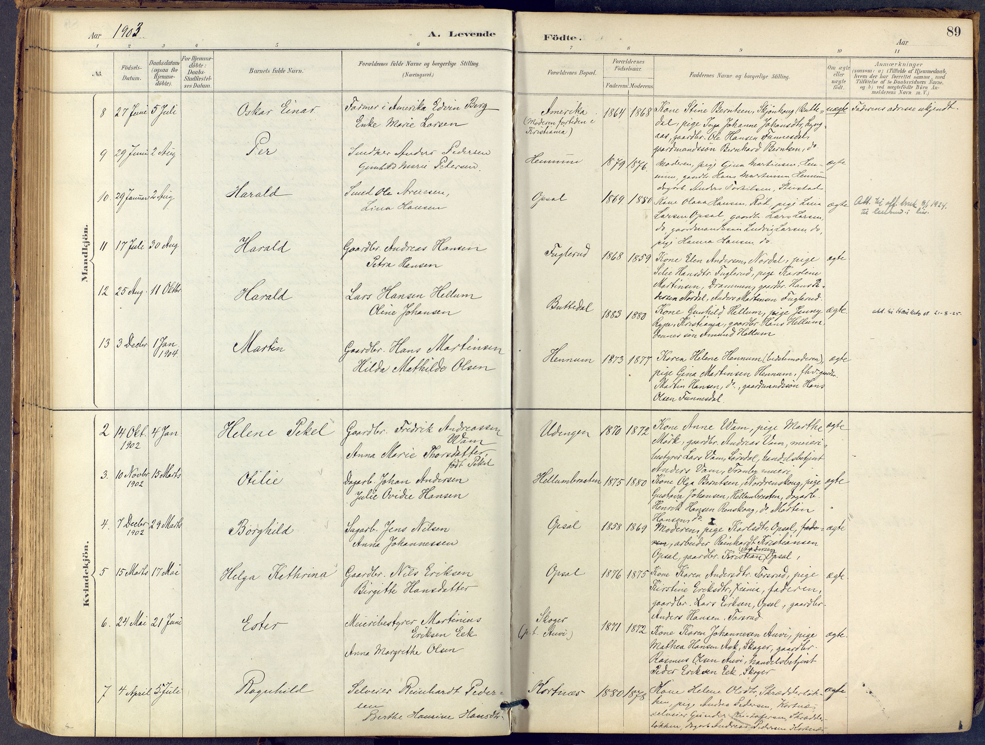 Lier kirkebøker, AV/SAKO-A-230/F/Fb/L0001: Ministerialbok nr. II 1, 1883-1910, s. 89