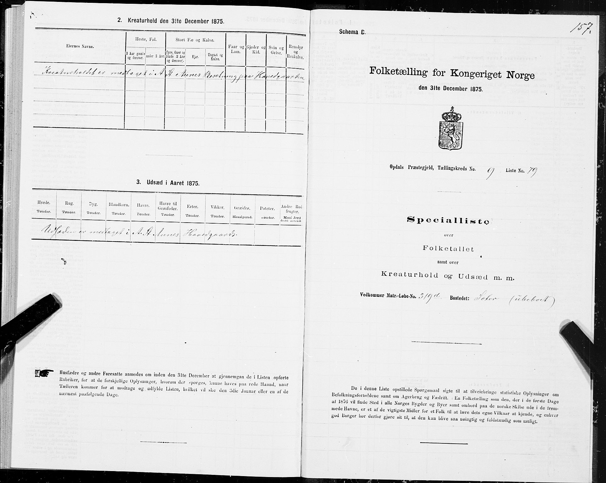 SAT, Folketelling 1875 for 1634P Oppdal prestegjeld, 1875, s. 6157