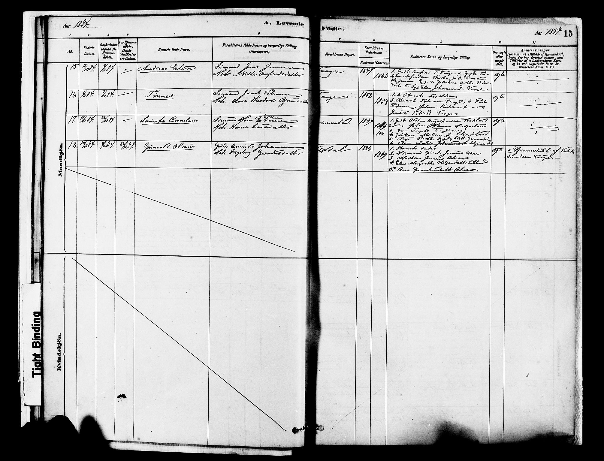 Tysvær sokneprestkontor, AV/SAST-A -101864/H/Ha/Haa/L0007: Ministerialbok nr. A 7, 1878-1897, s. 15