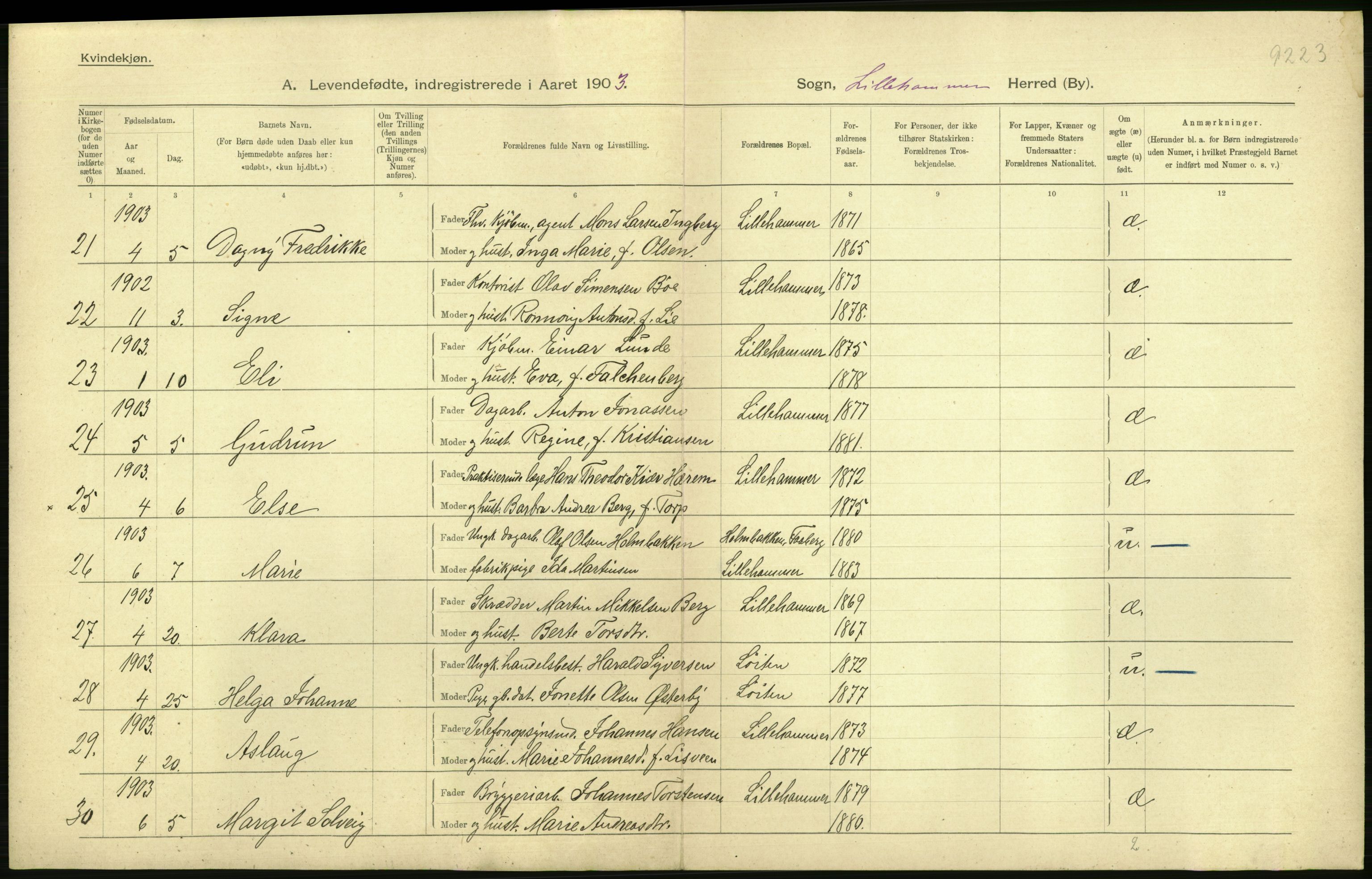 Statistisk sentralbyrå, Sosiodemografiske emner, Befolkning, AV/RA-S-2228/D/Df/Dfa/Dfaa/L0006: Kristians amt: Fødte, gifte, døde, 1903, s. 410