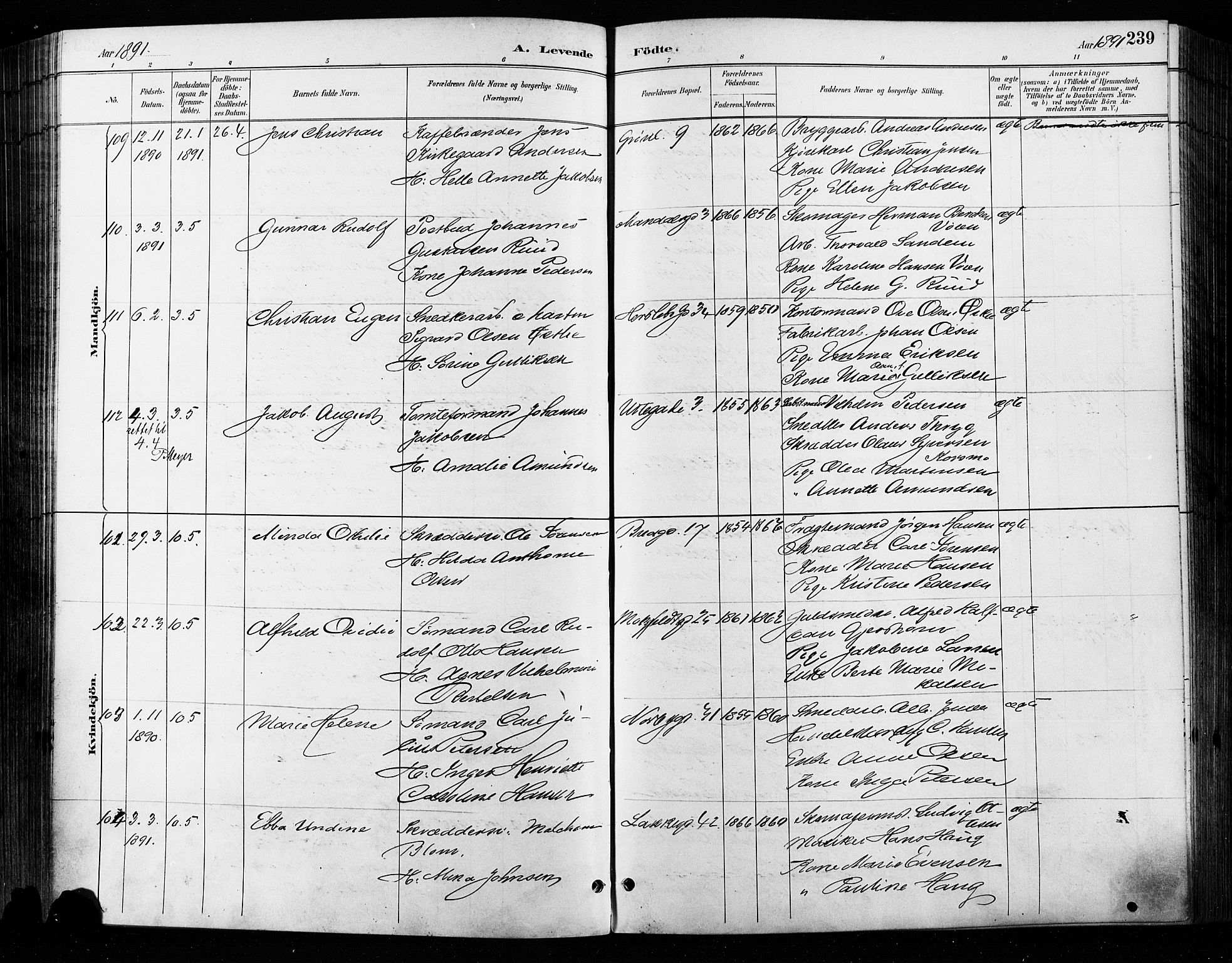 Grønland prestekontor Kirkebøker, SAO/A-10848/F/Fa/L0009: Ministerialbok nr. 9, 1888-1893, s. 239