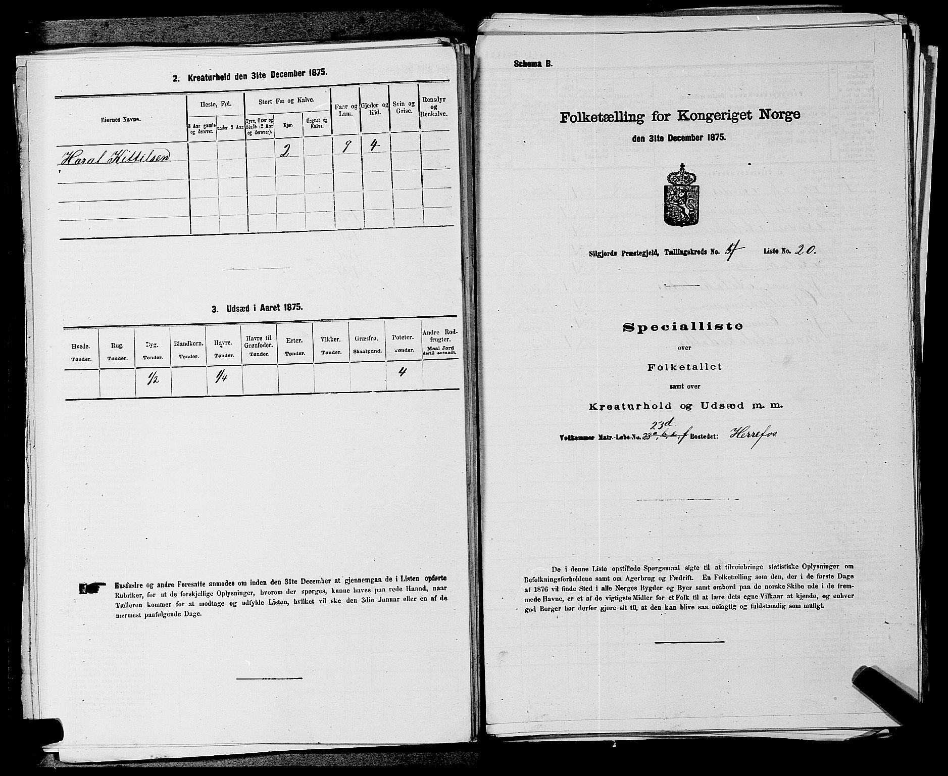 SAKO, Folketelling 1875 for 0828P Seljord prestegjeld, 1875, s. 423