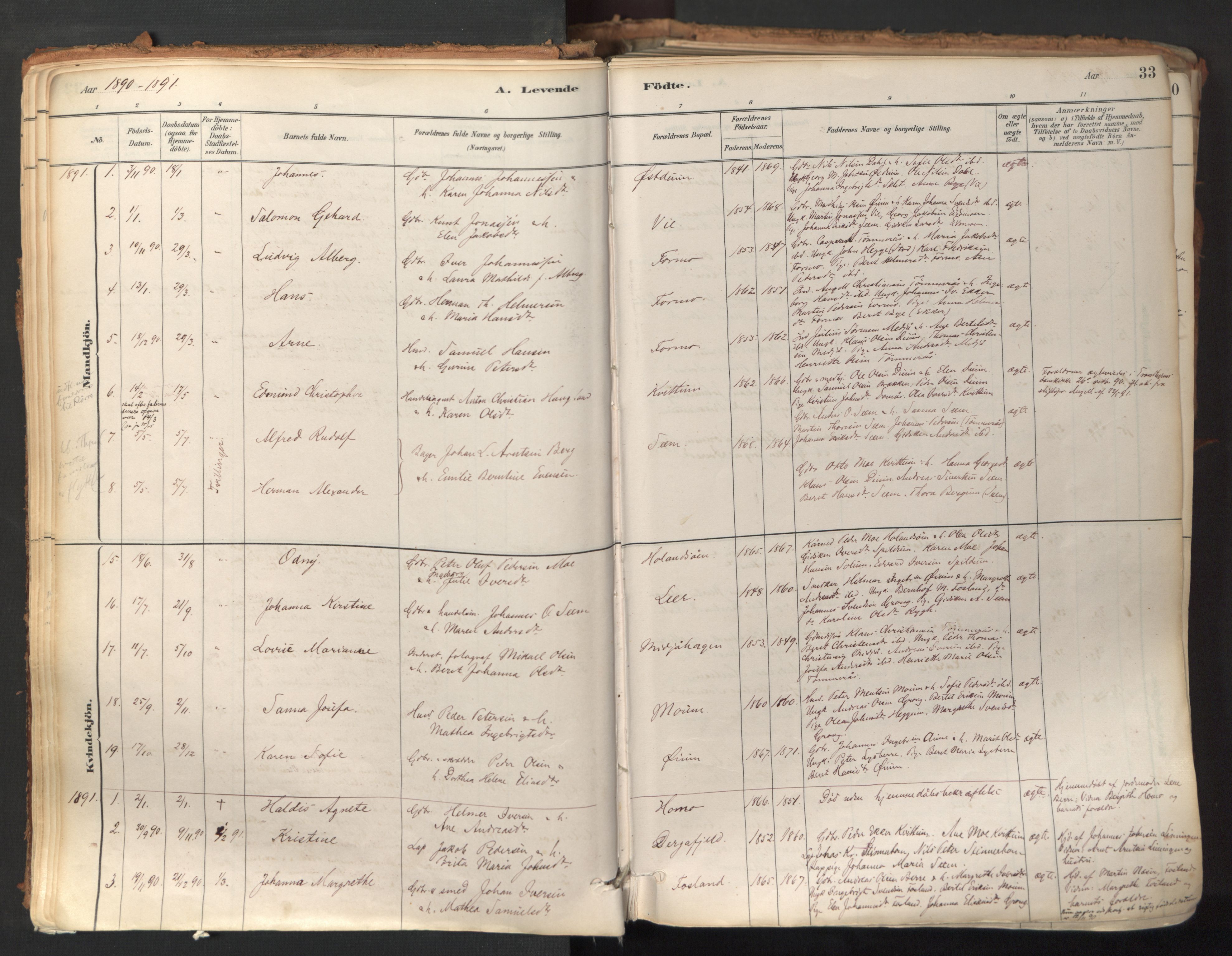 Ministerialprotokoller, klokkerbøker og fødselsregistre - Nord-Trøndelag, AV/SAT-A-1458/758/L0519: Ministerialbok nr. 758A04, 1880-1926, s. 33