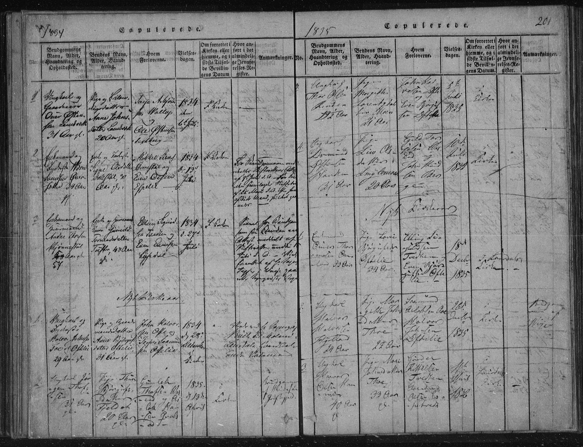 Lårdal kirkebøker, SAKO/A-284/F/Fc/L0001: Ministerialbok nr. III 1, 1815-1860, s. 201