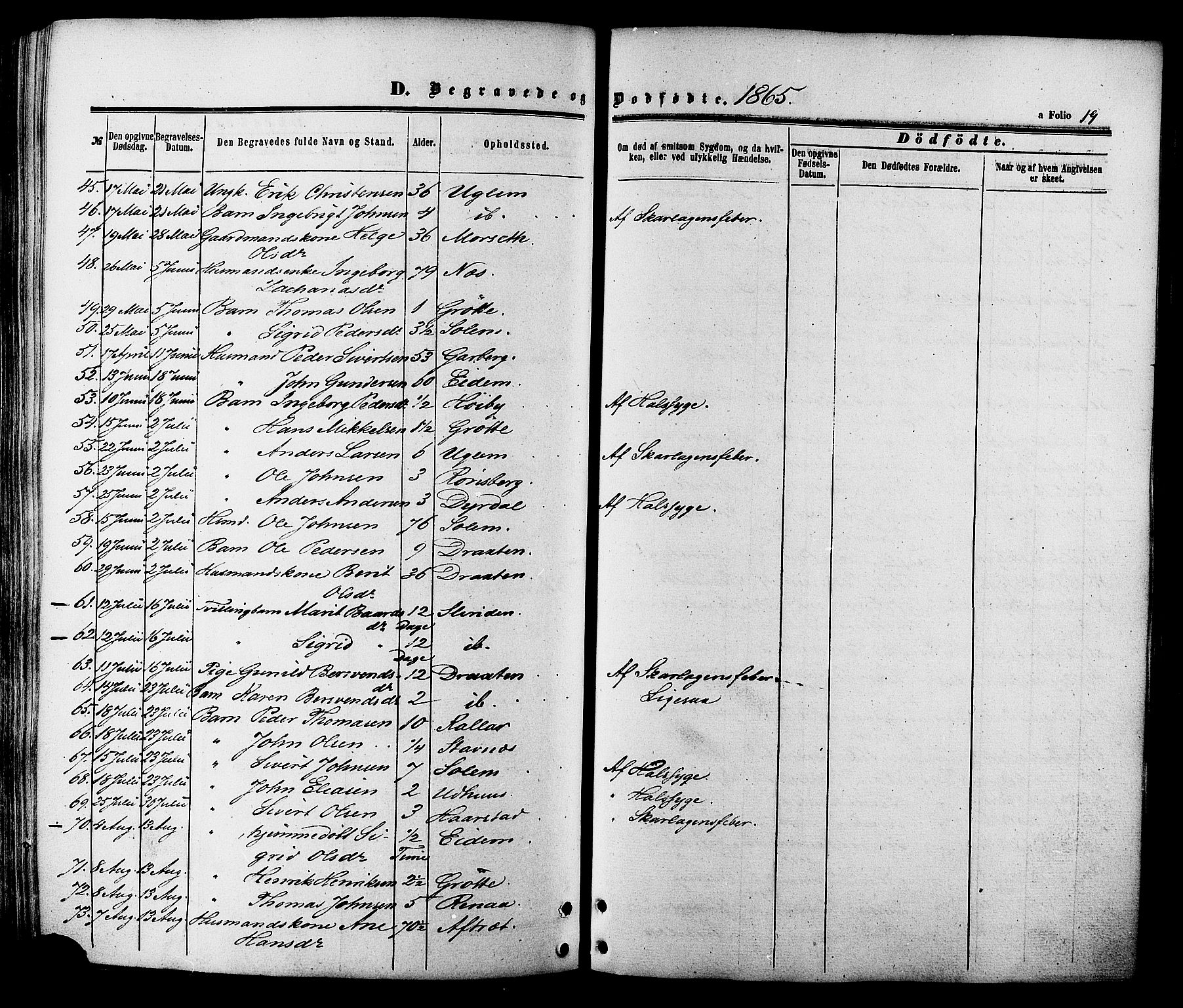 Ministerialprotokoller, klokkerbøker og fødselsregistre - Sør-Trøndelag, SAT/A-1456/695/L1147: Ministerialbok nr. 695A07, 1860-1877, s. 19