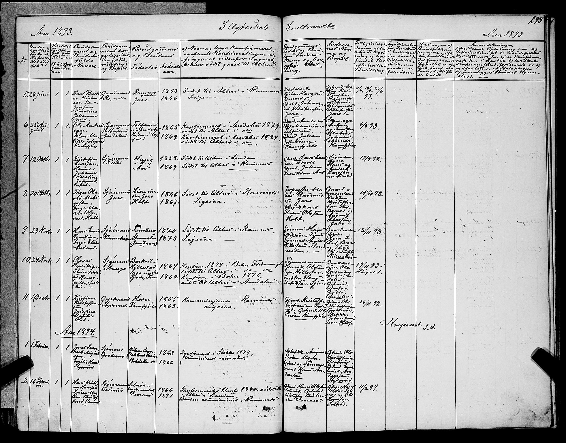 Ramnes kirkebøker, SAKO/A-314/G/Ga/L0003: Klokkerbok nr. I 3, 1870-1896, s. 295