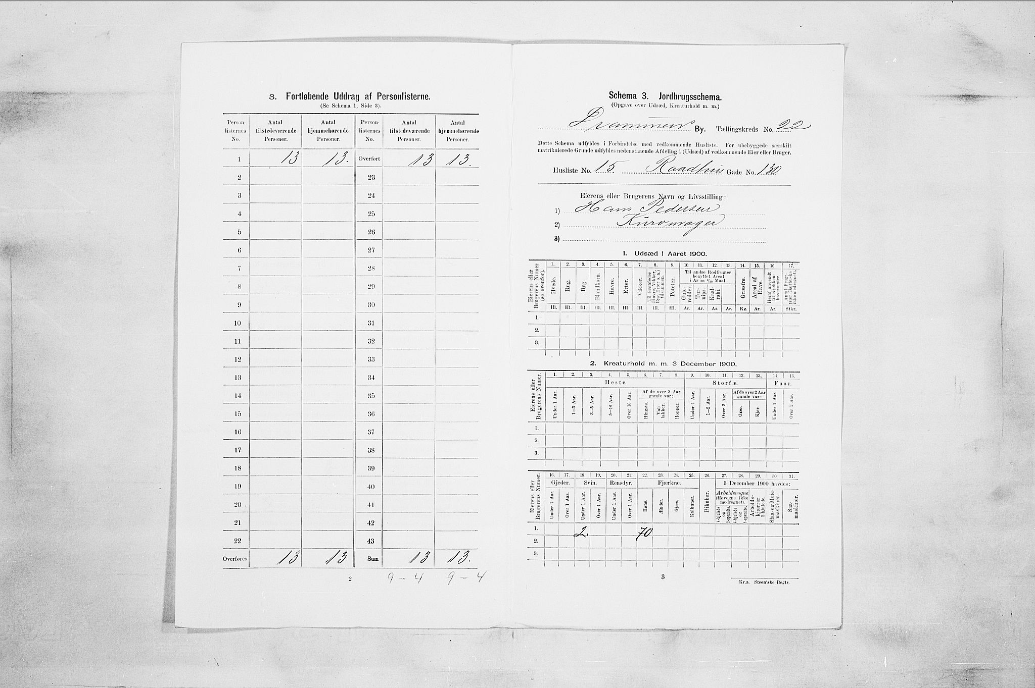 RA, Folketelling 1900 for 0602 Drammen kjøpstad, 1900, s. 3730