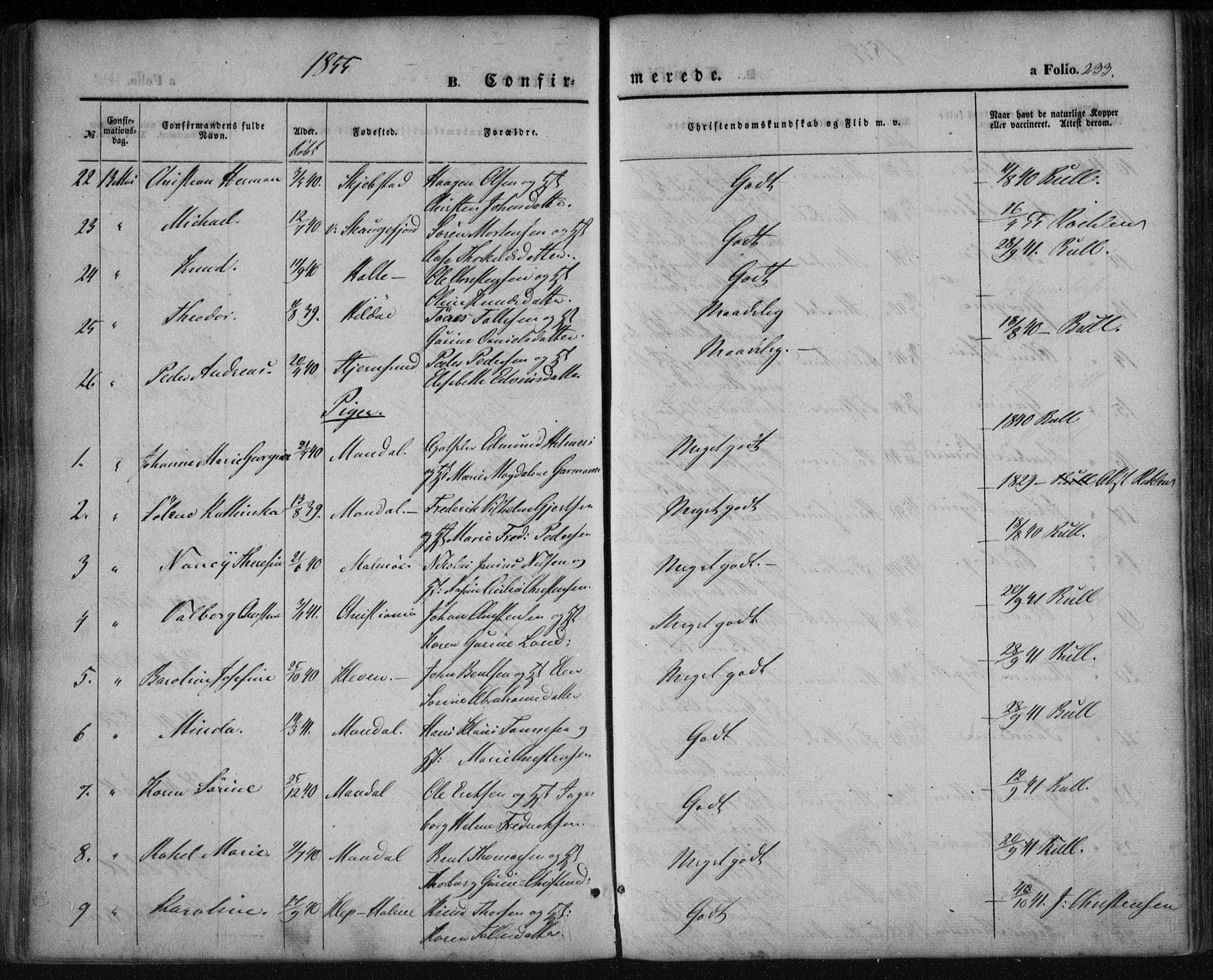 Mandal sokneprestkontor, AV/SAK-1111-0030/F/Fa/Faa/L0013: Ministerialbok nr. A 13, 1847-1859, s. 233