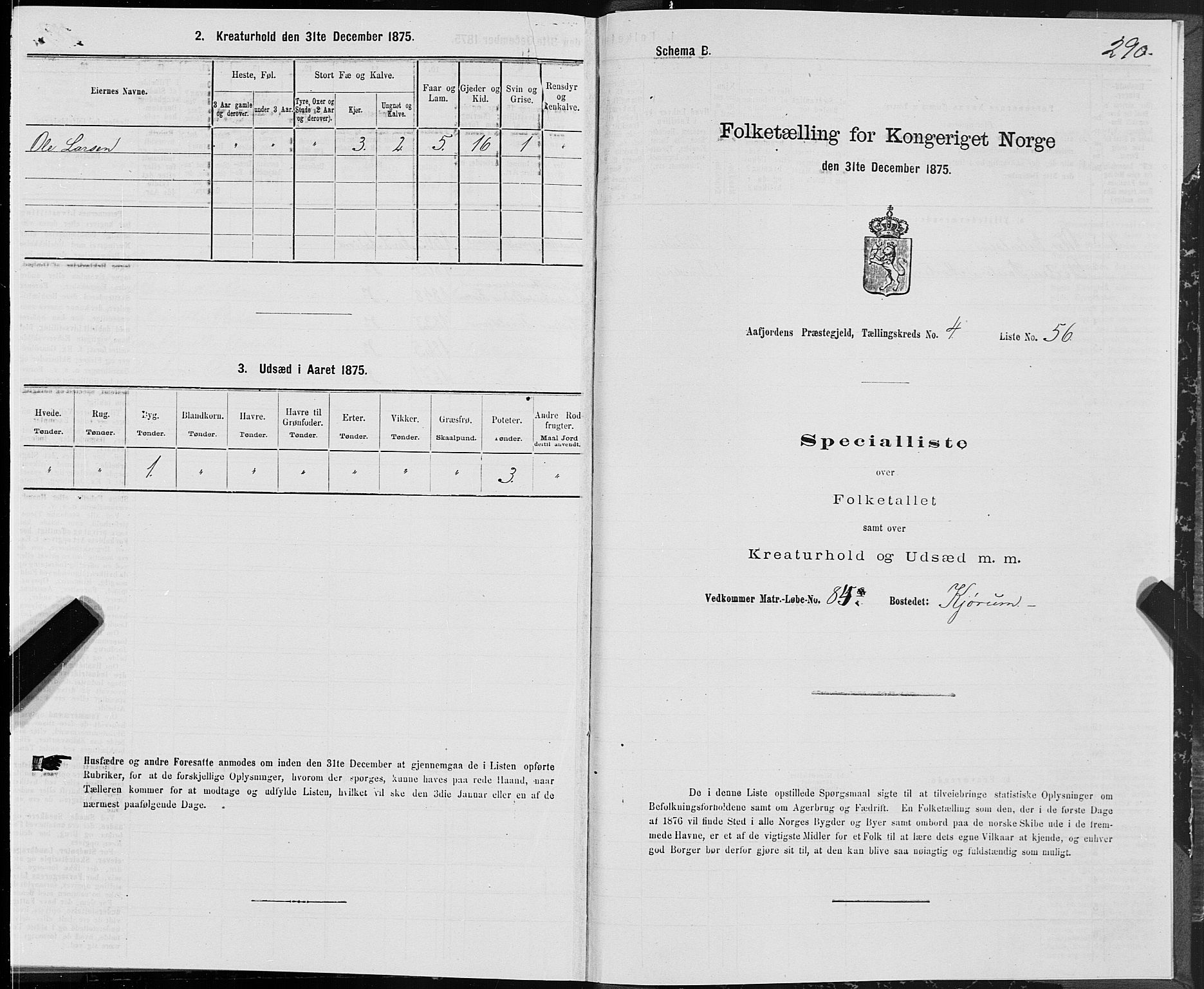 SAT, Folketelling 1875 for 1630P Aafjorden prestegjeld, 1875, s. 2290