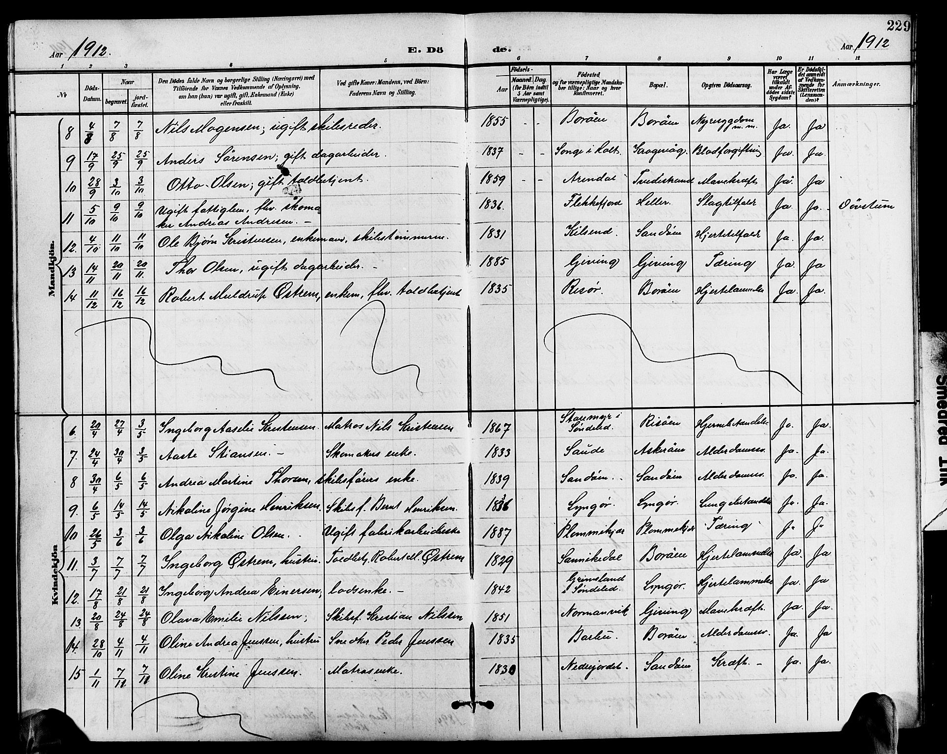 Dypvåg sokneprestkontor, AV/SAK-1111-0007/F/Fb/Fba/L0014: Klokkerbok nr. B 14, 1901-1922, s. 229