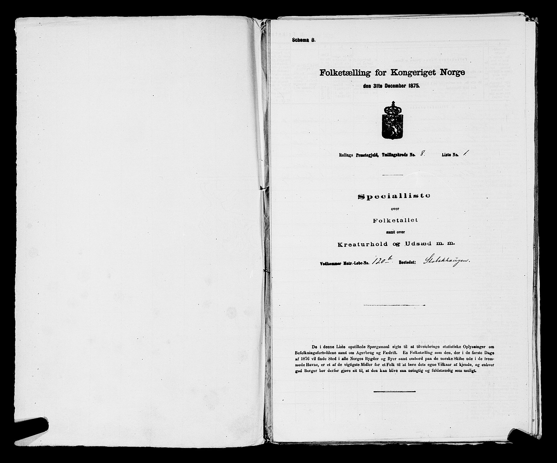 SAKO, Folketelling 1875 for 0632P Rollag prestegjeld, 1875, s. 518