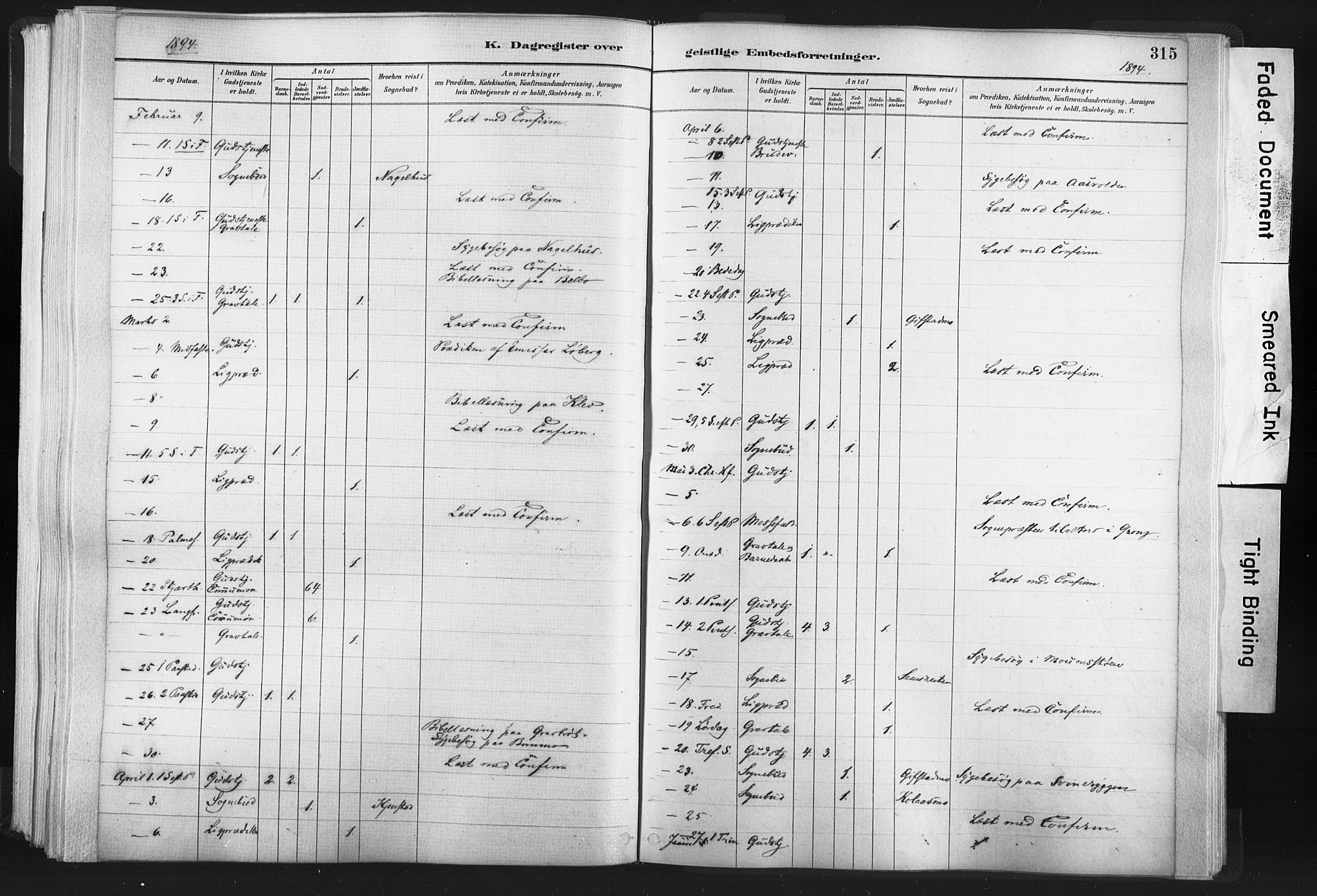 Ministerialprotokoller, klokkerbøker og fødselsregistre - Nord-Trøndelag, AV/SAT-A-1458/749/L0474: Ministerialbok nr. 749A08, 1887-1903, s. 315