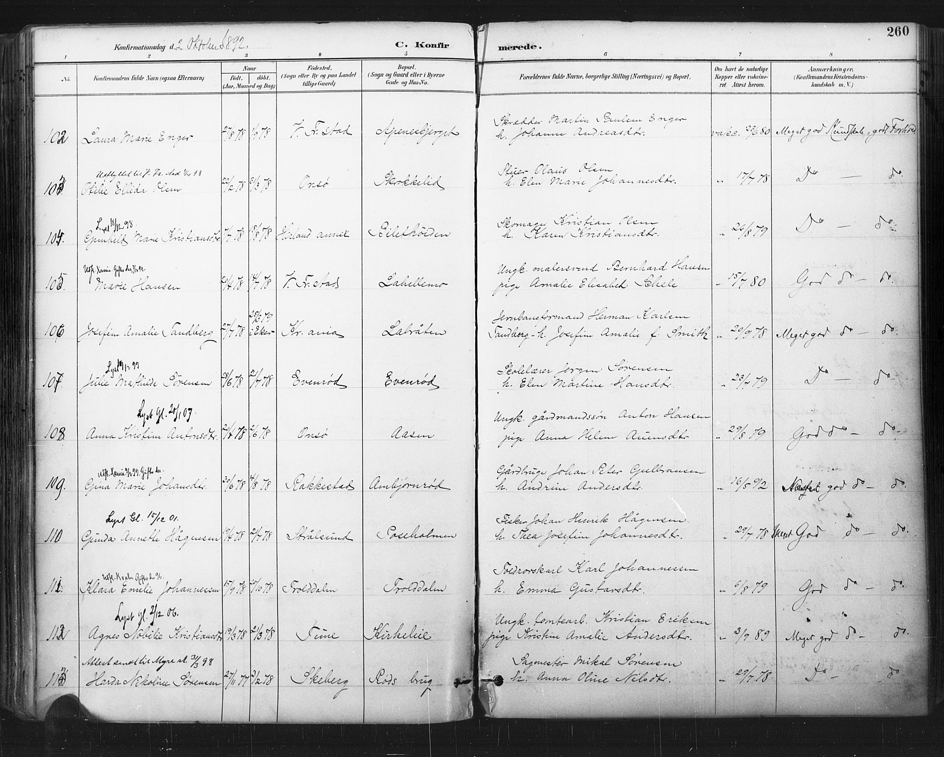 Glemmen prestekontor Kirkebøker, AV/SAO-A-10908/F/Fa/L0013: Ministerialbok nr. 13, 1892-1907, s. 260