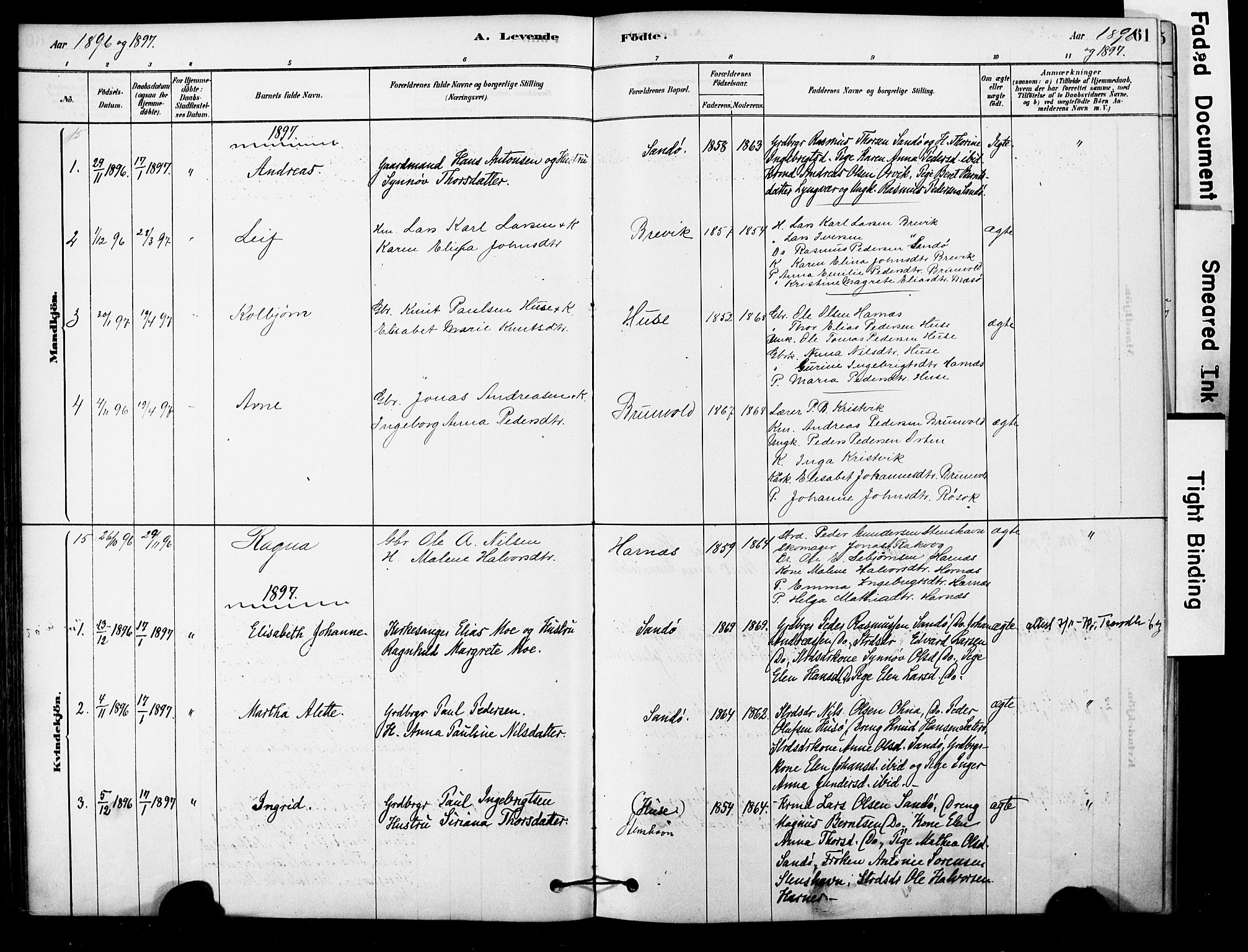 Ministerialprotokoller, klokkerbøker og fødselsregistre - Møre og Romsdal, AV/SAT-A-1454/561/L0729: Ministerialbok nr. 561A03, 1878-1900, s. 61