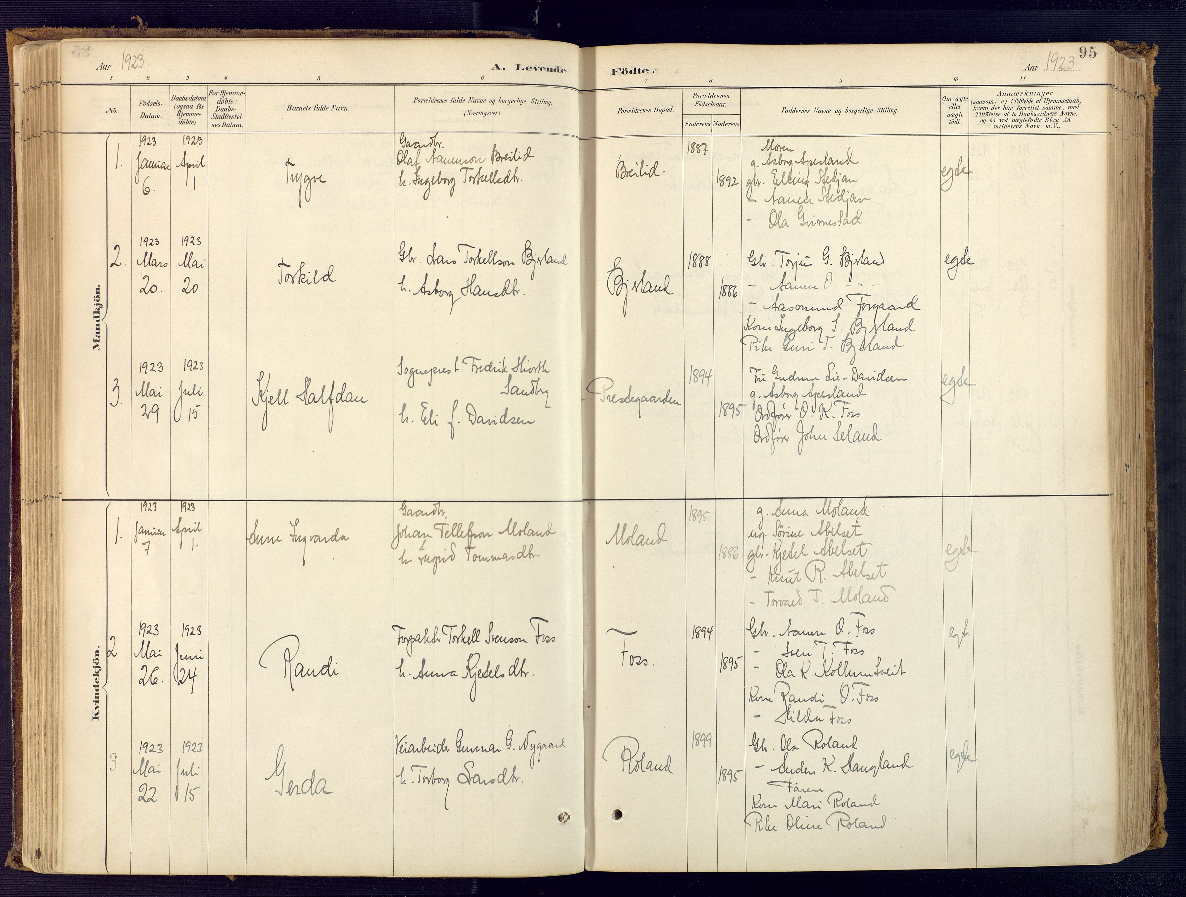 Bjelland sokneprestkontor, AV/SAK-1111-0005/F/Fa/Faa/L0004: Ministerialbok nr. A 4, 1887-1923, s. 95