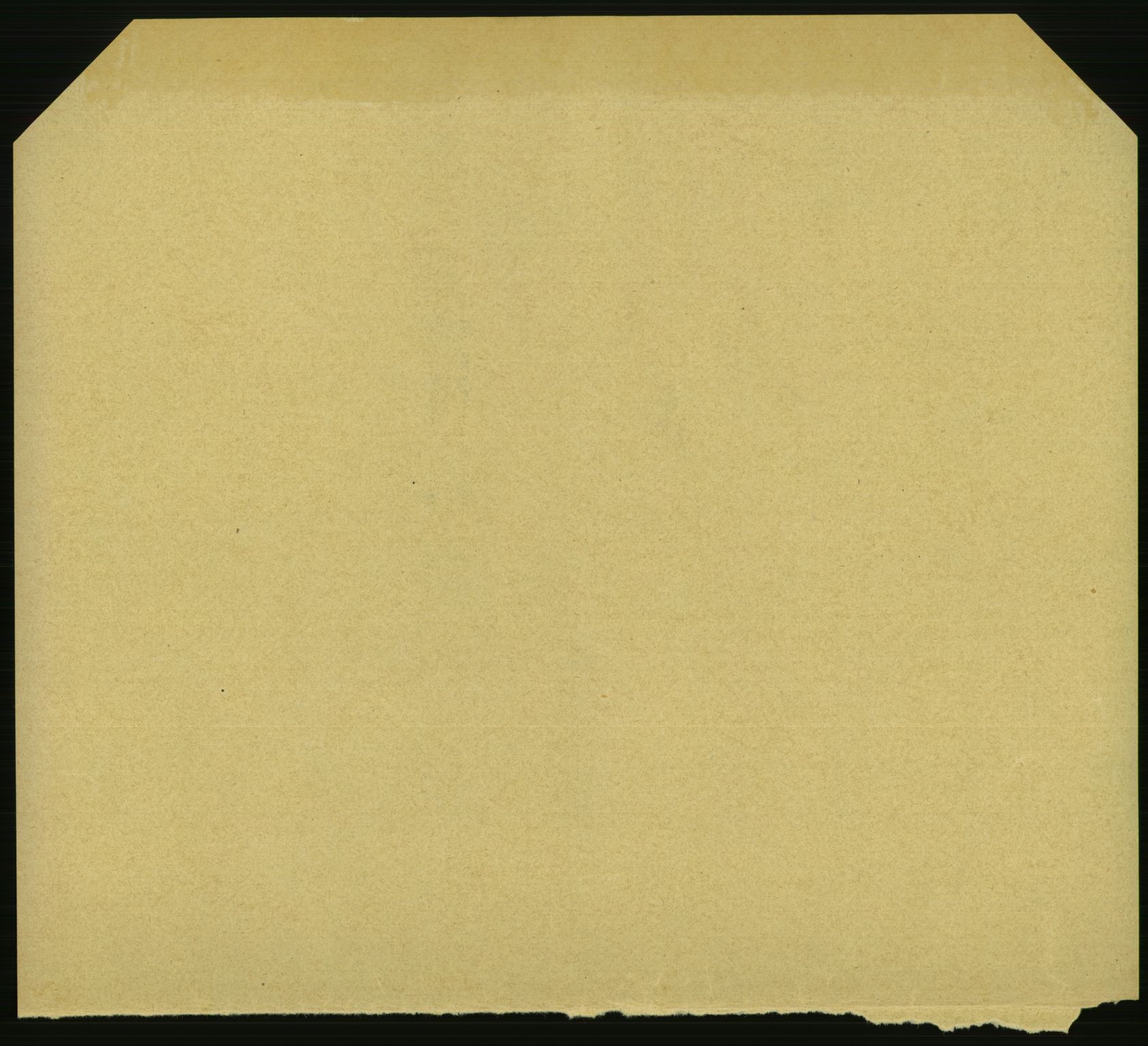 Statistisk sentralbyrå, Sosiodemografiske emner, Befolkning, AV/RA-S-2228/D/Df/Dfa/Dfaa/L0010: Nedenes amt: Fødte, gifte, døde, 1903, s. 504