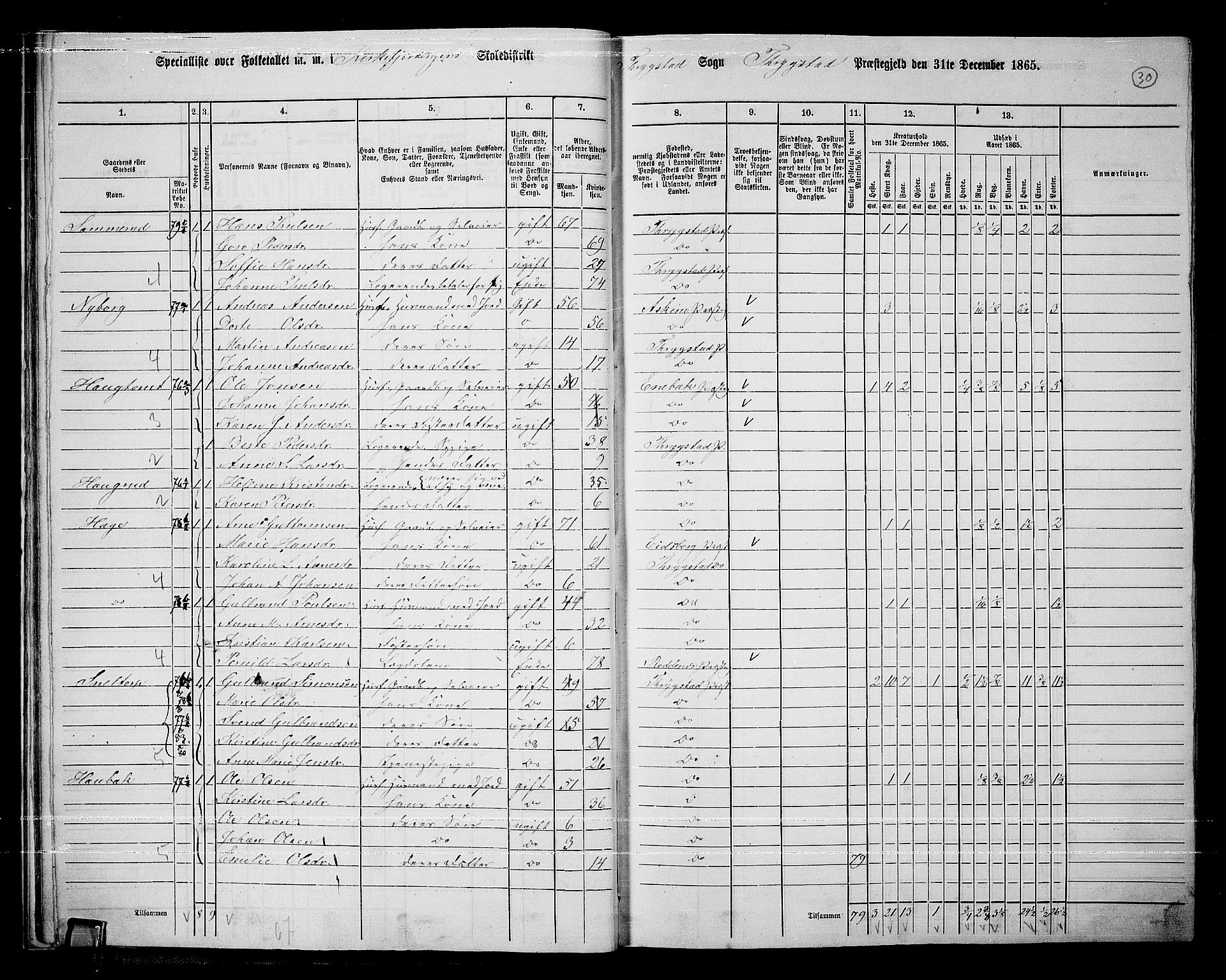 RA, Folketelling 1865 for 0122P Trøgstad prestegjeld, 1865, s. 29