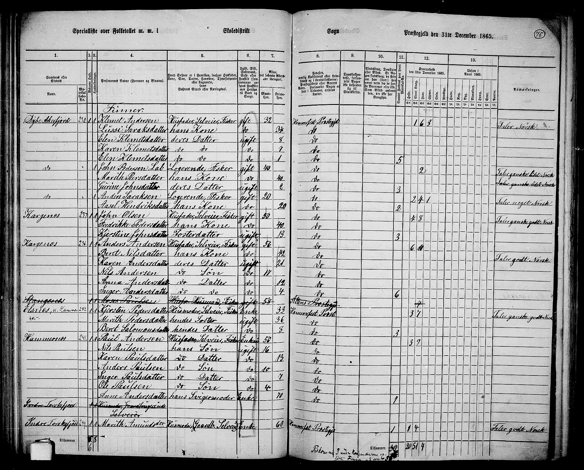 RA, Folketelling 1865 for 2016L Hammerfest prestegjeld, Hammerfest landsokn, 1865, s. 67