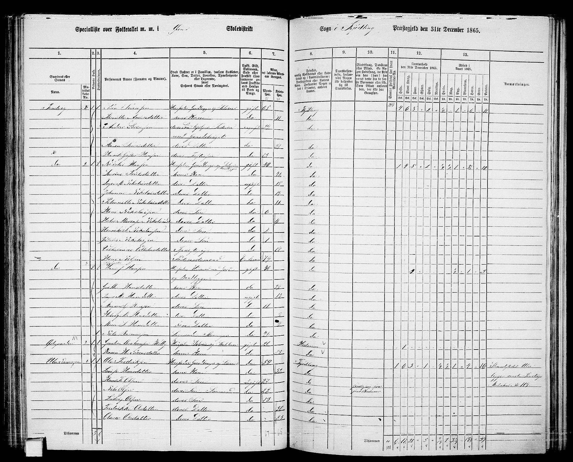 RA, Folketelling 1865 for 0725P Tjølling prestegjeld, 1865, s. 125