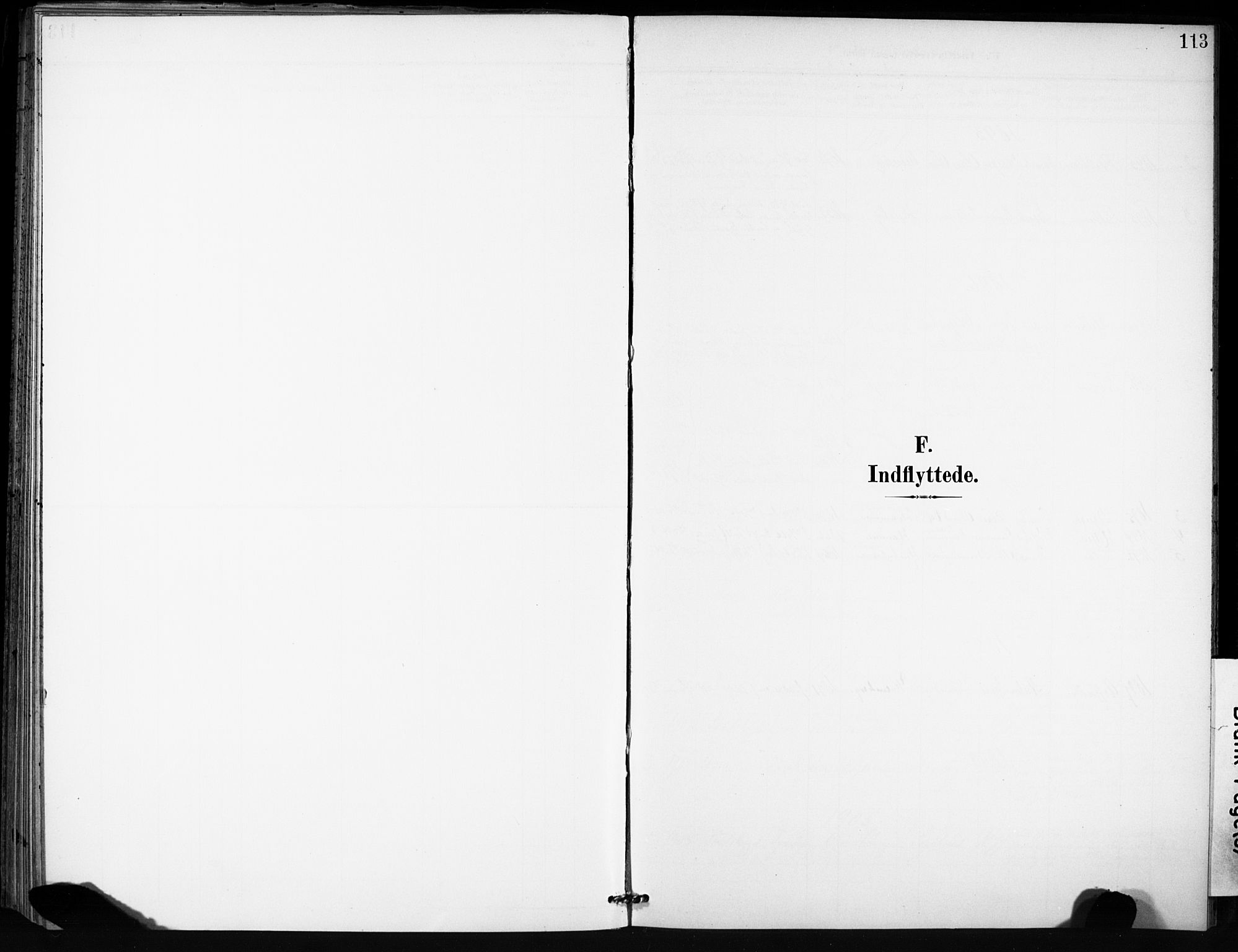 Ministerialprotokoller, klokkerbøker og fødselsregistre - Sør-Trøndelag, AV/SAT-A-1456/666/L0787: Ministerialbok nr. 666A05, 1895-1908, s. 113