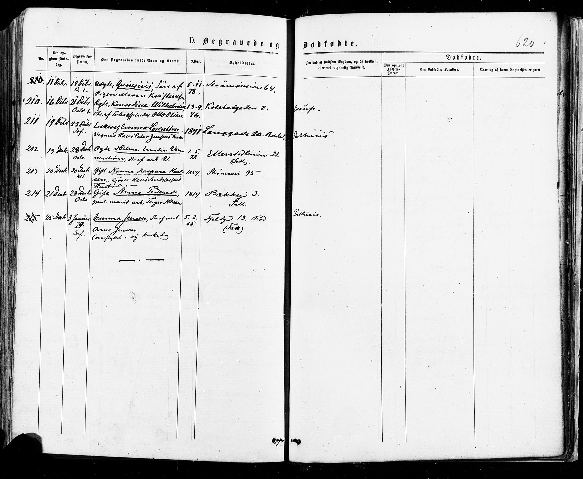 Østre Aker prestekontor Kirkebøker, SAO/A-10840/F/Fa/L0004: Ministerialbok nr. I 4, 1876-1889, s. 620