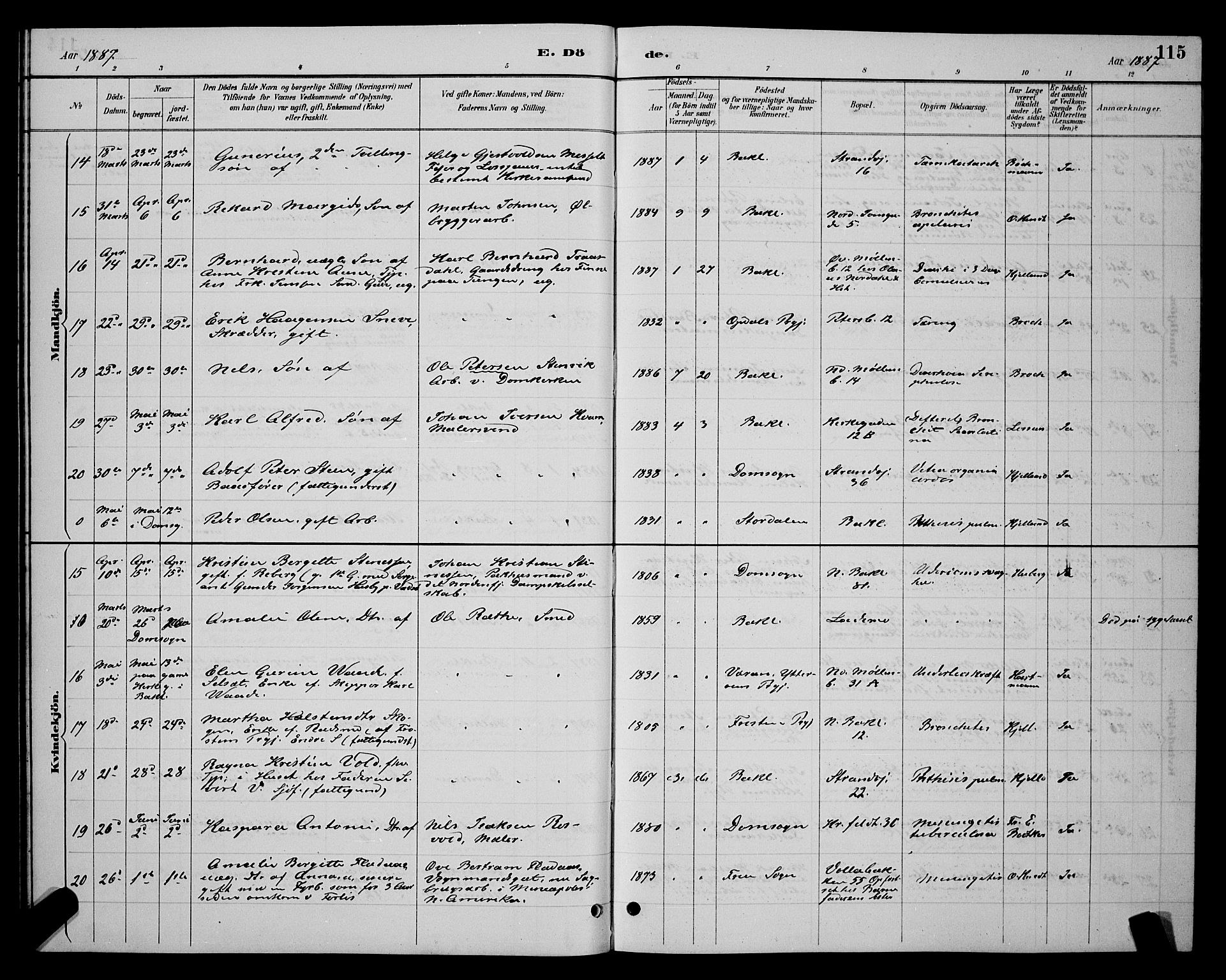 Ministerialprotokoller, klokkerbøker og fødselsregistre - Sør-Trøndelag, SAT/A-1456/604/L0223: Klokkerbok nr. 604C06, 1886-1897, s. 115
