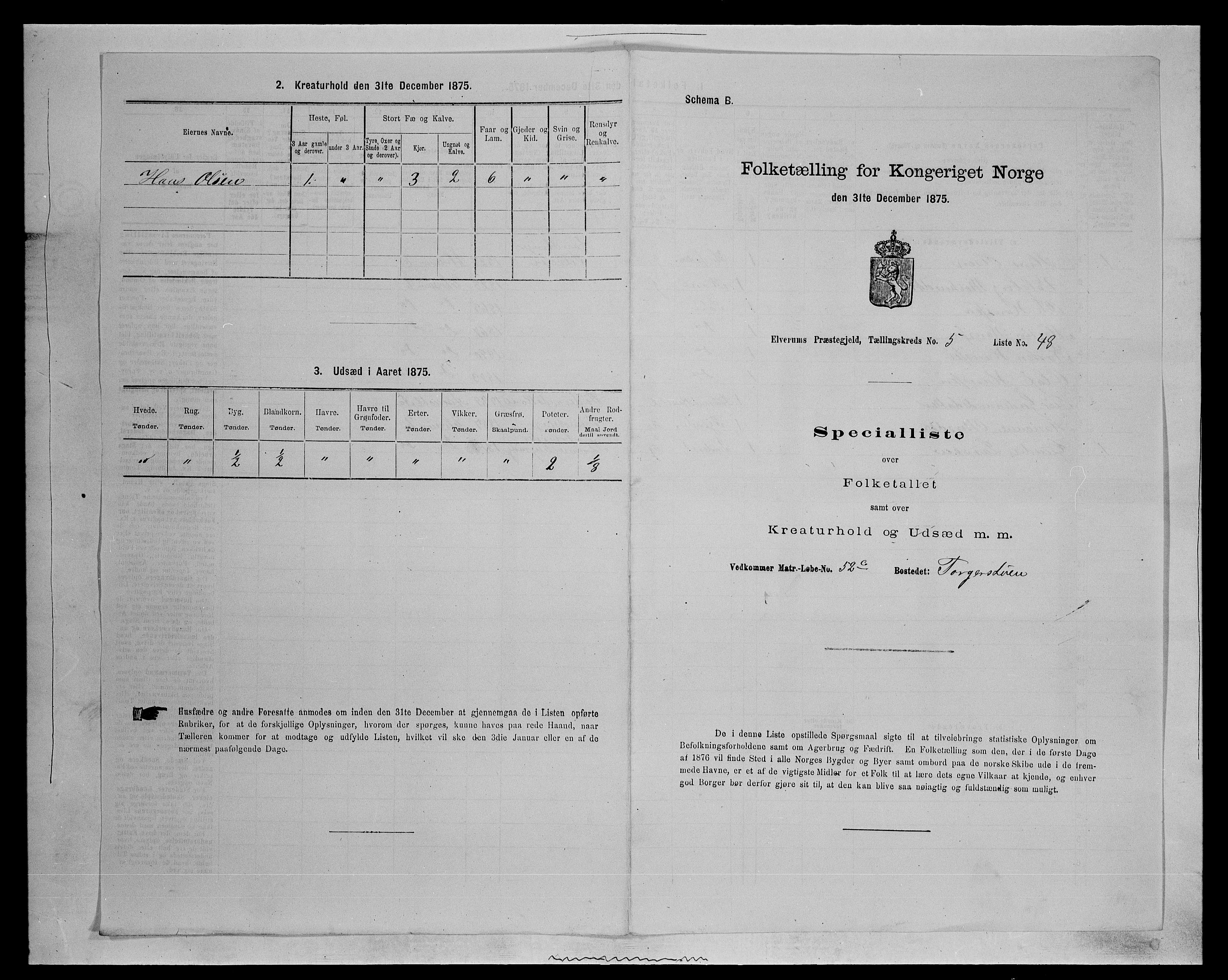 SAH, Folketelling 1875 for 0427P Elverum prestegjeld, 1875, s. 1319