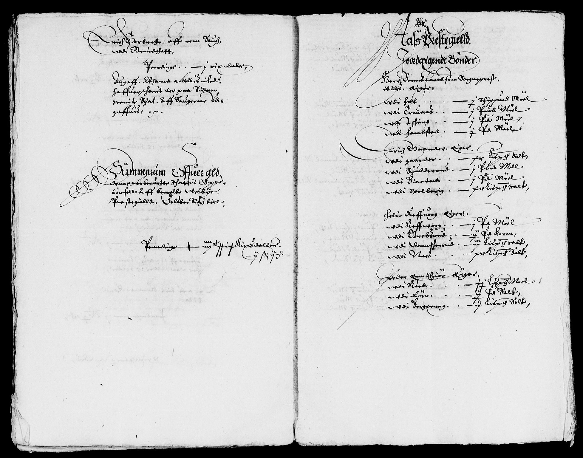 Rentekammeret inntil 1814, Reviderte regnskaper, Lensregnskaper, AV/RA-EA-5023/R/Rb/Rba/L0096: Akershus len, 1629-1630