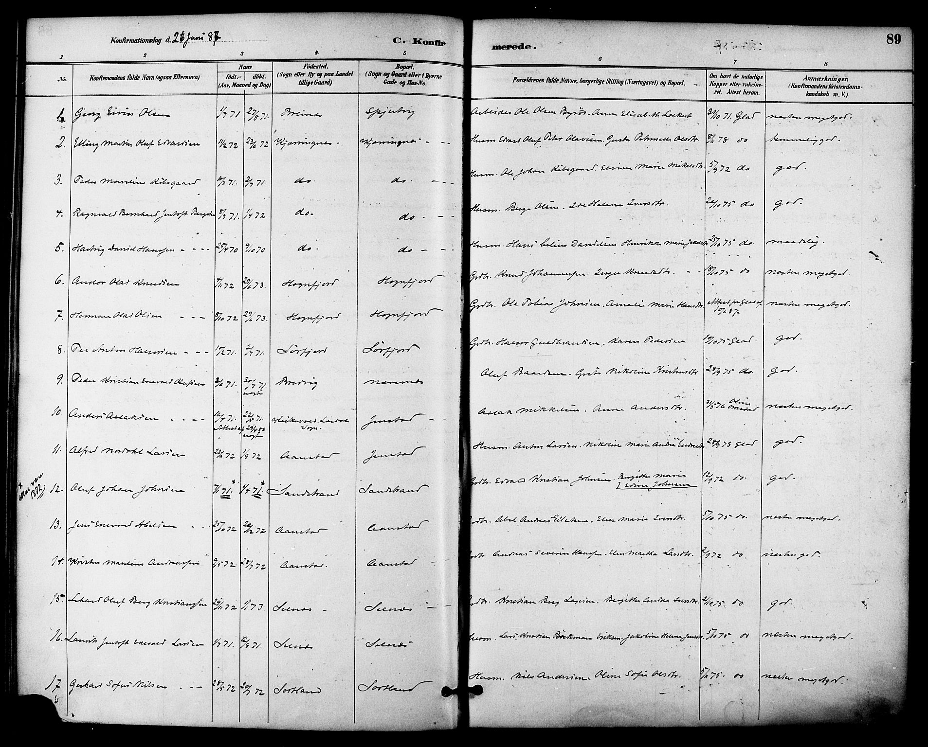 Ministerialprotokoller, klokkerbøker og fødselsregistre - Nordland, SAT/A-1459/895/L1371: Ministerialbok nr. 895A06, 1885-1894, s. 89