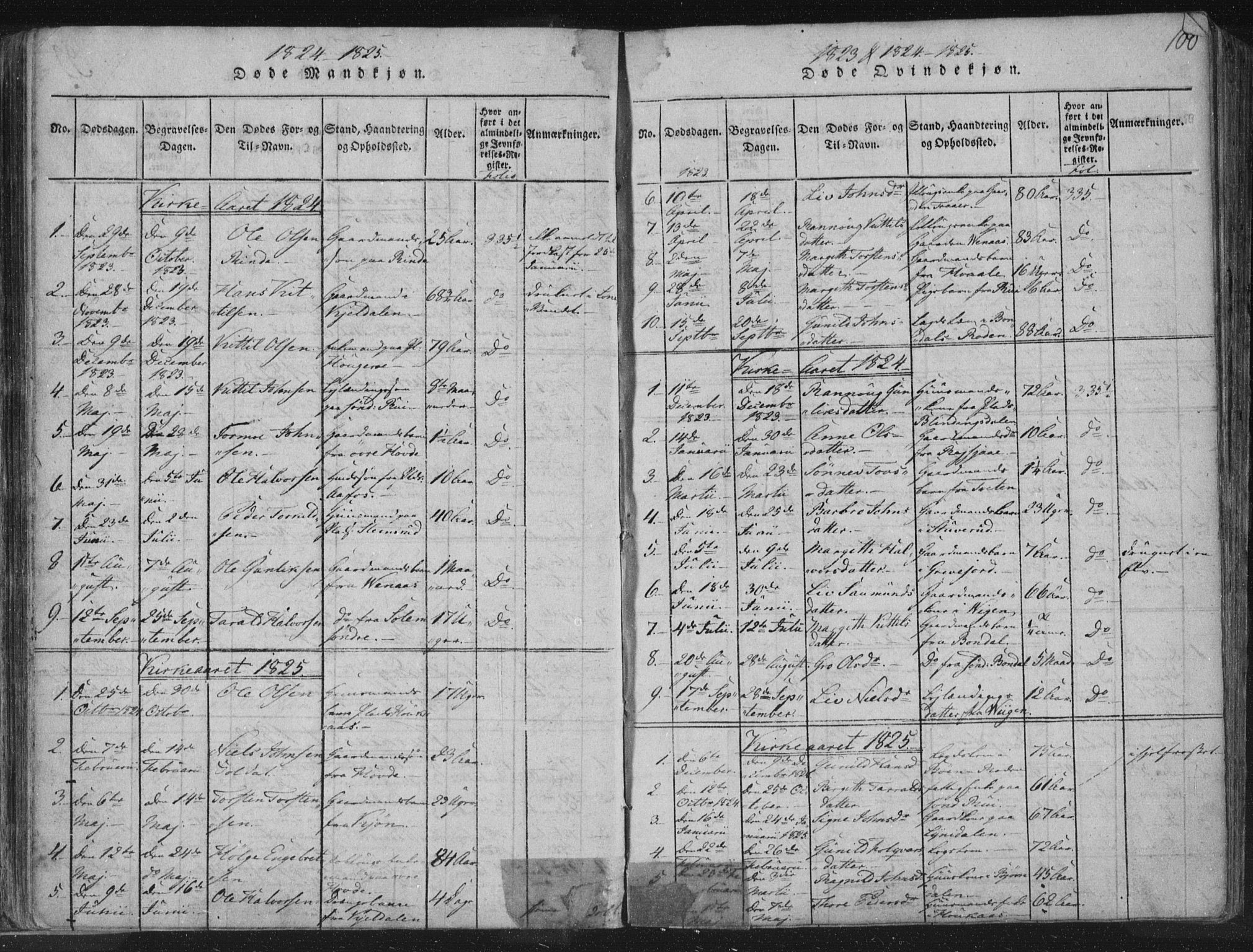 Hjartdal kirkebøker, AV/SAKO-A-270/F/Fc/L0001: Ministerialbok nr. III 1, 1815-1843, s. 100